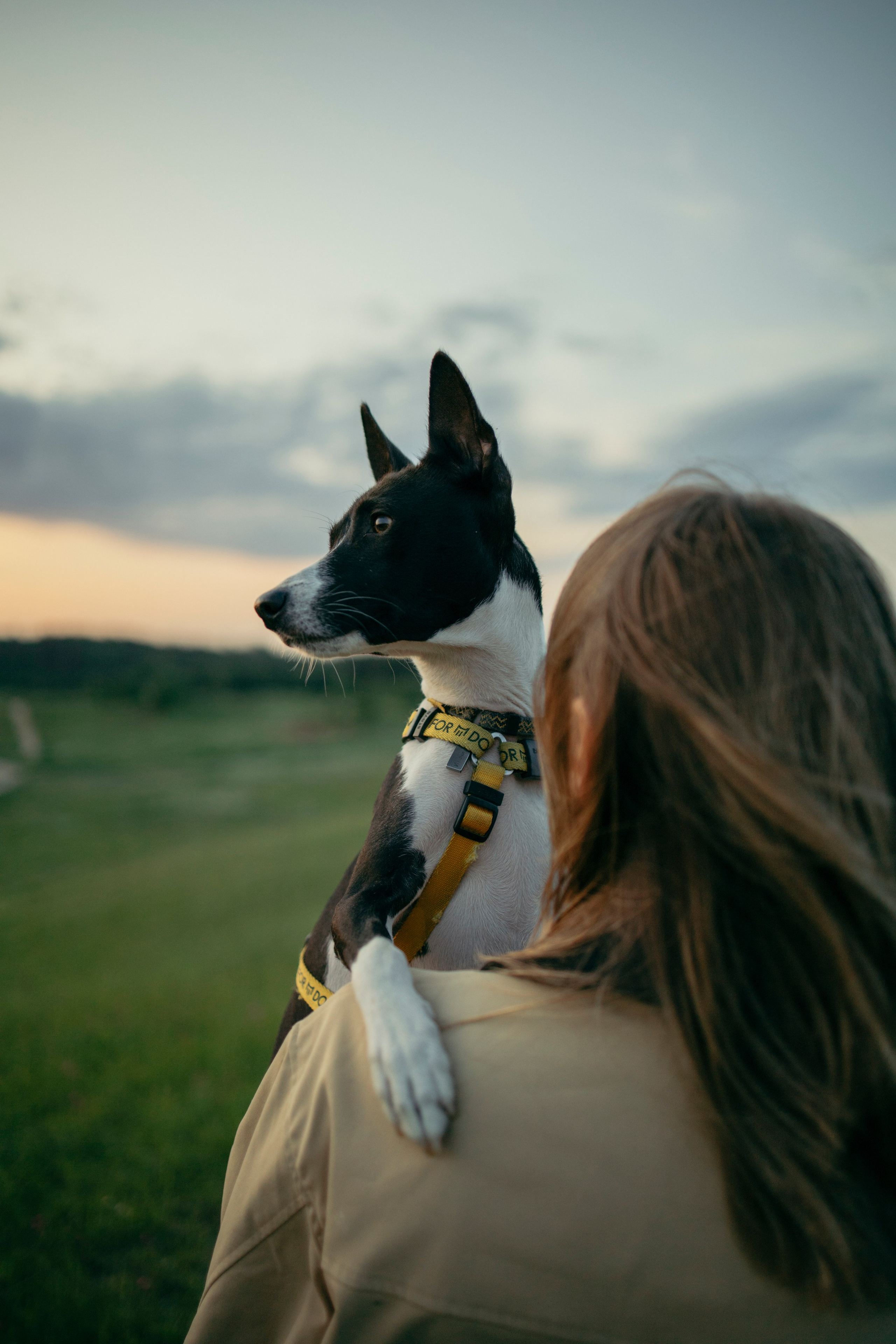 Итачи и его семья 🐾. Фотограф-анималист в Санкт-Петеребурге Титова Алиса