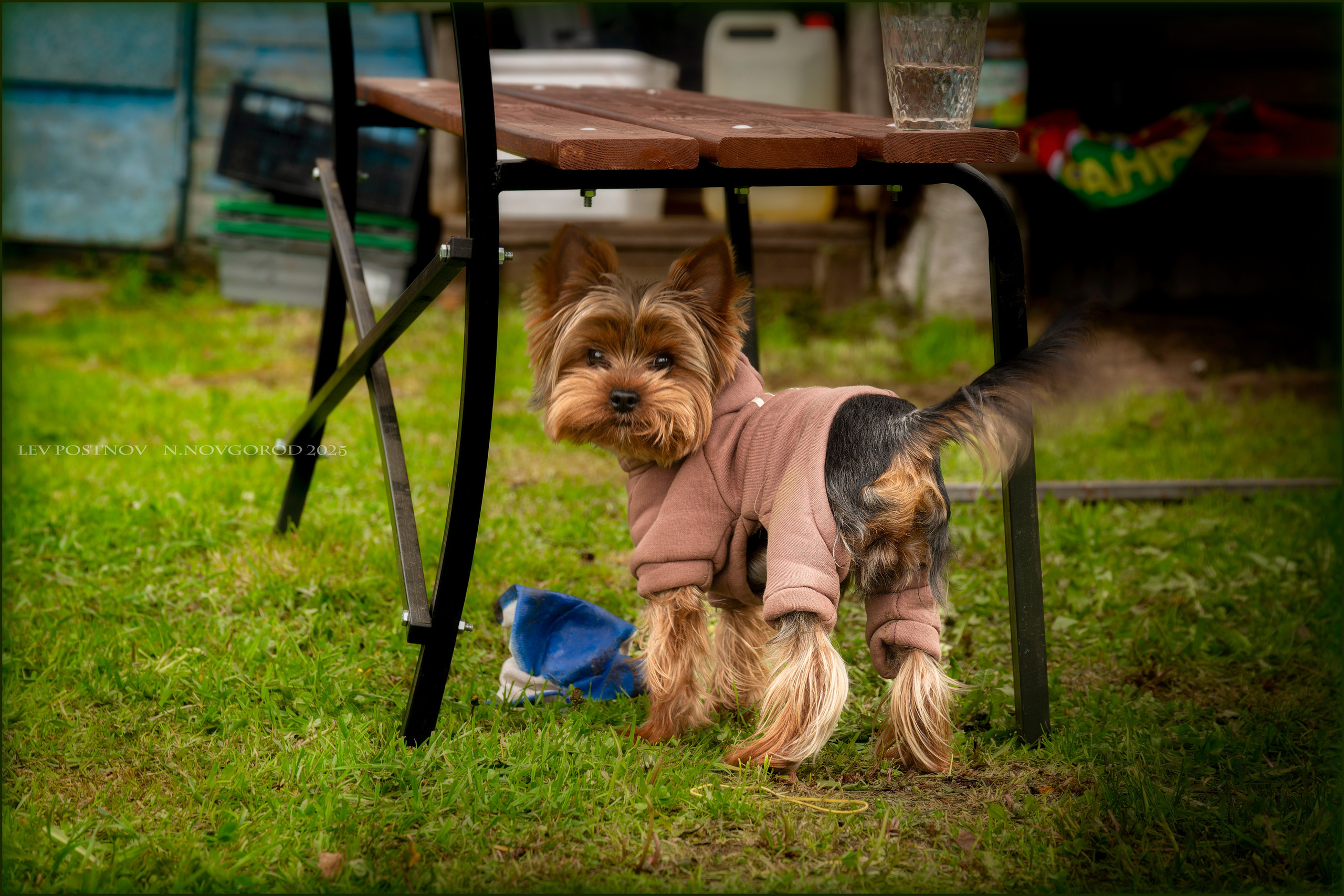 Тофик. Лев Постнов.Фотограф. Нижний Новгород