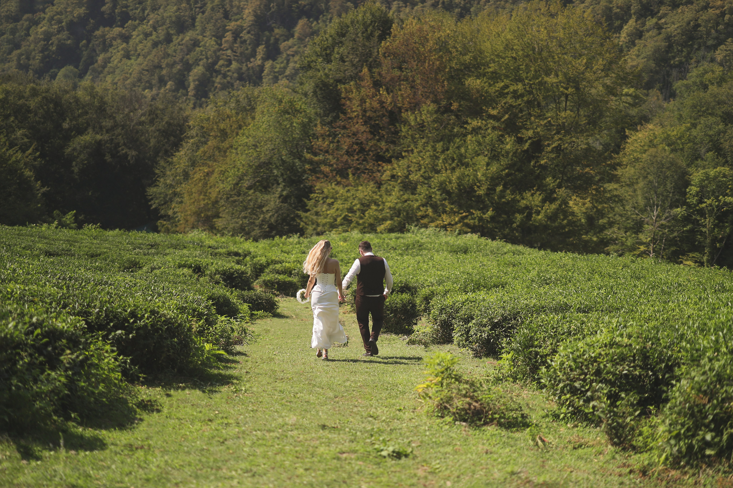 Данил + Катерина. Свадебный и семейный фотограф в Абхазии Жанна Соснина