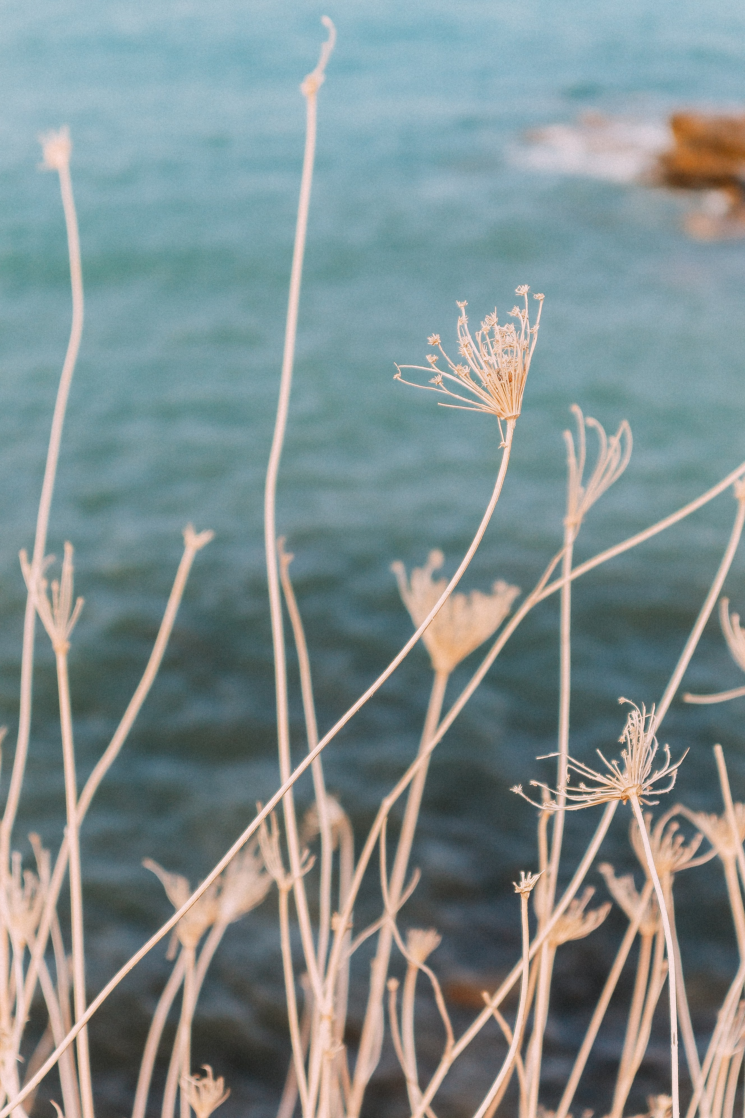 Крит. Аня Степанова