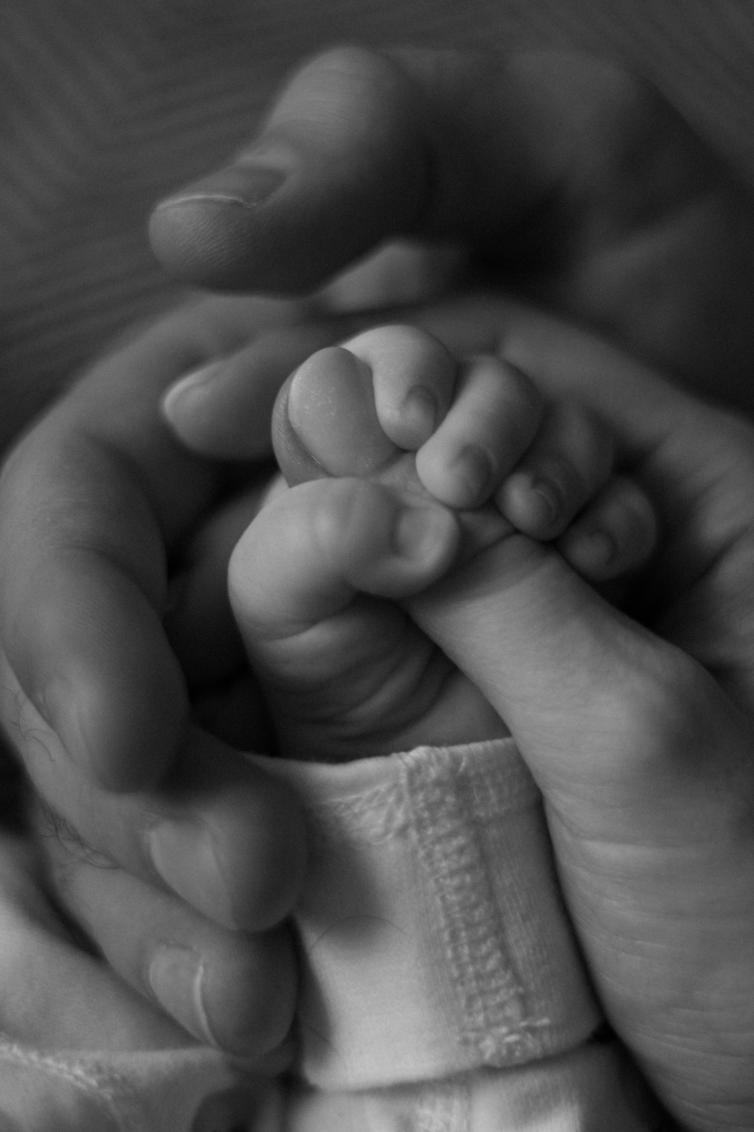 Family. Фотограф в Нижнем Новгороде Воробьева Анжела