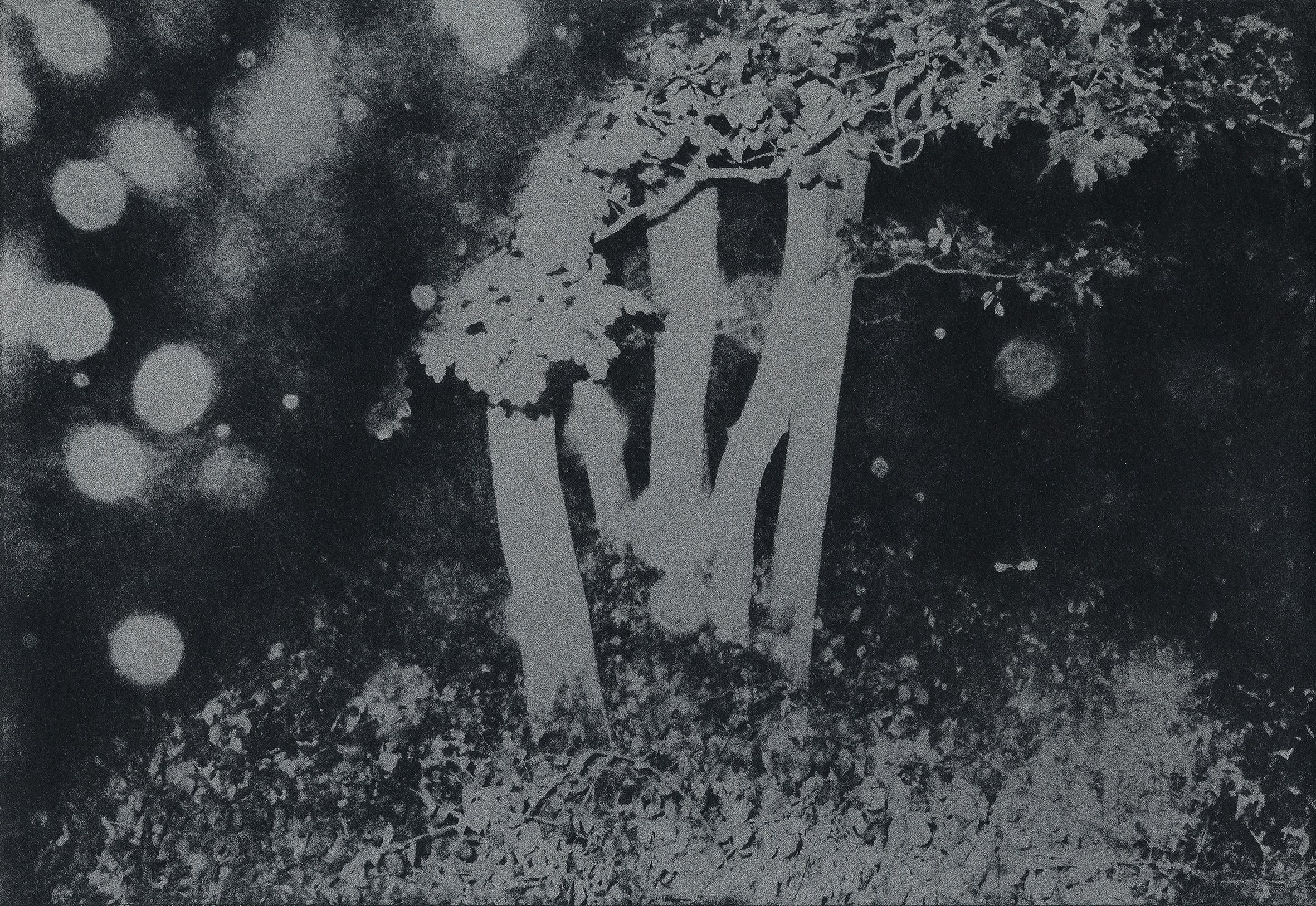 Проект «Black Cloud» Джули ван дер Ваарт. Private image