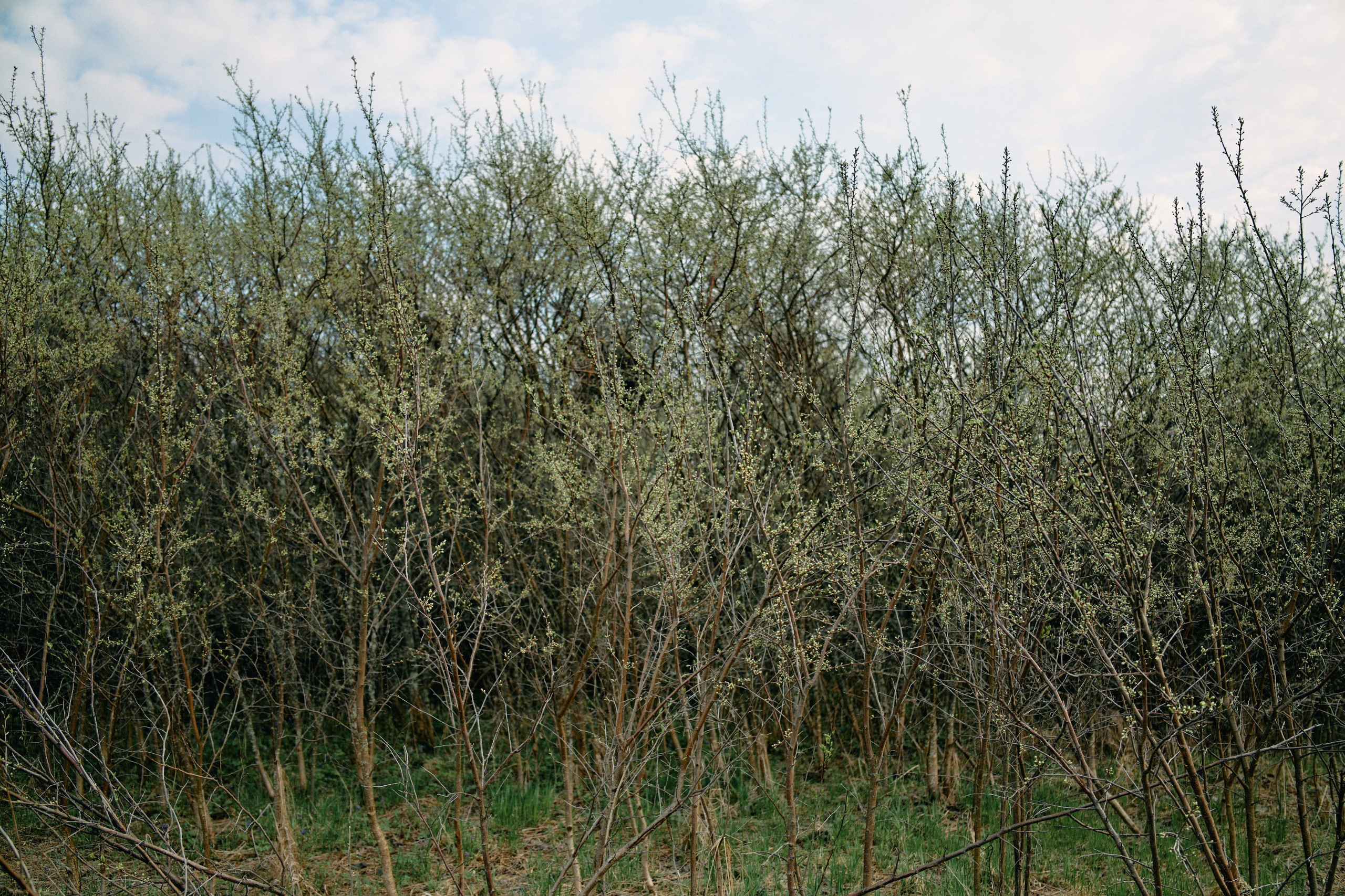 Бутик-отель Поле летом. Профессиональный Фотограф во Владимире, в Москве и в Суздале — Полина Романычева