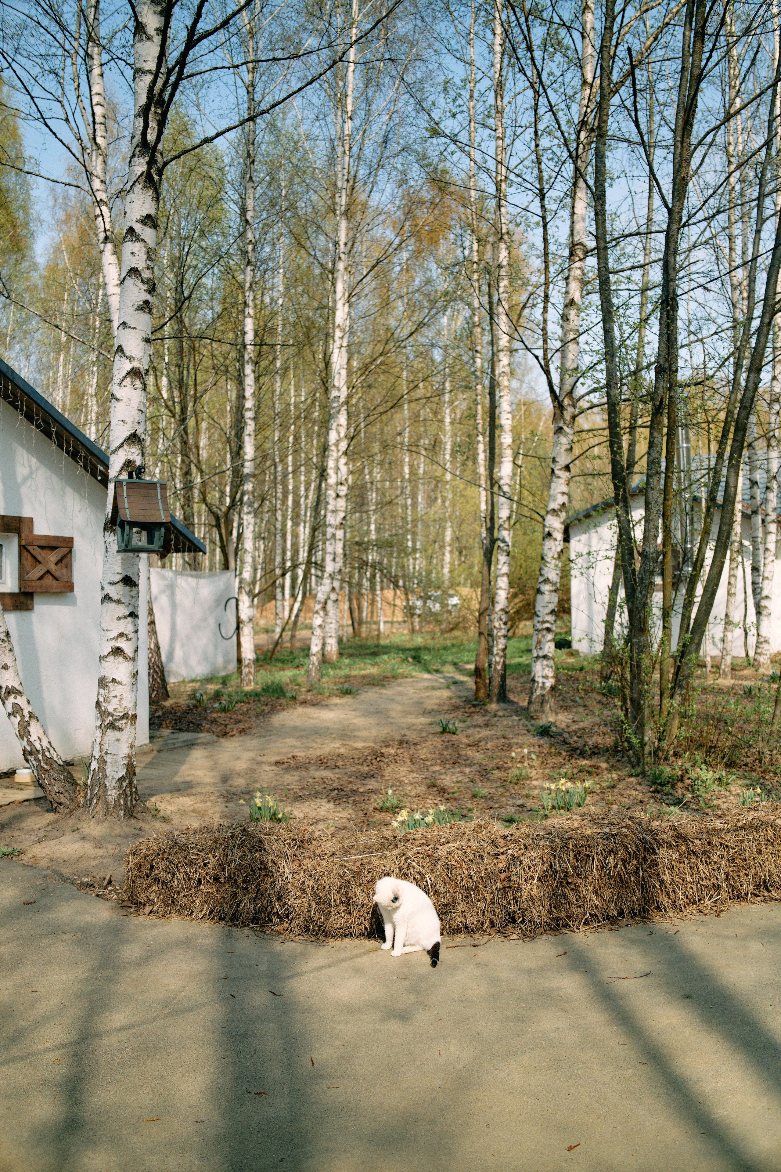 Бутик-отель Поле летом. Профессиональный Фотограф во Владимире, в Москве и в Суздале — Полина Романычева
