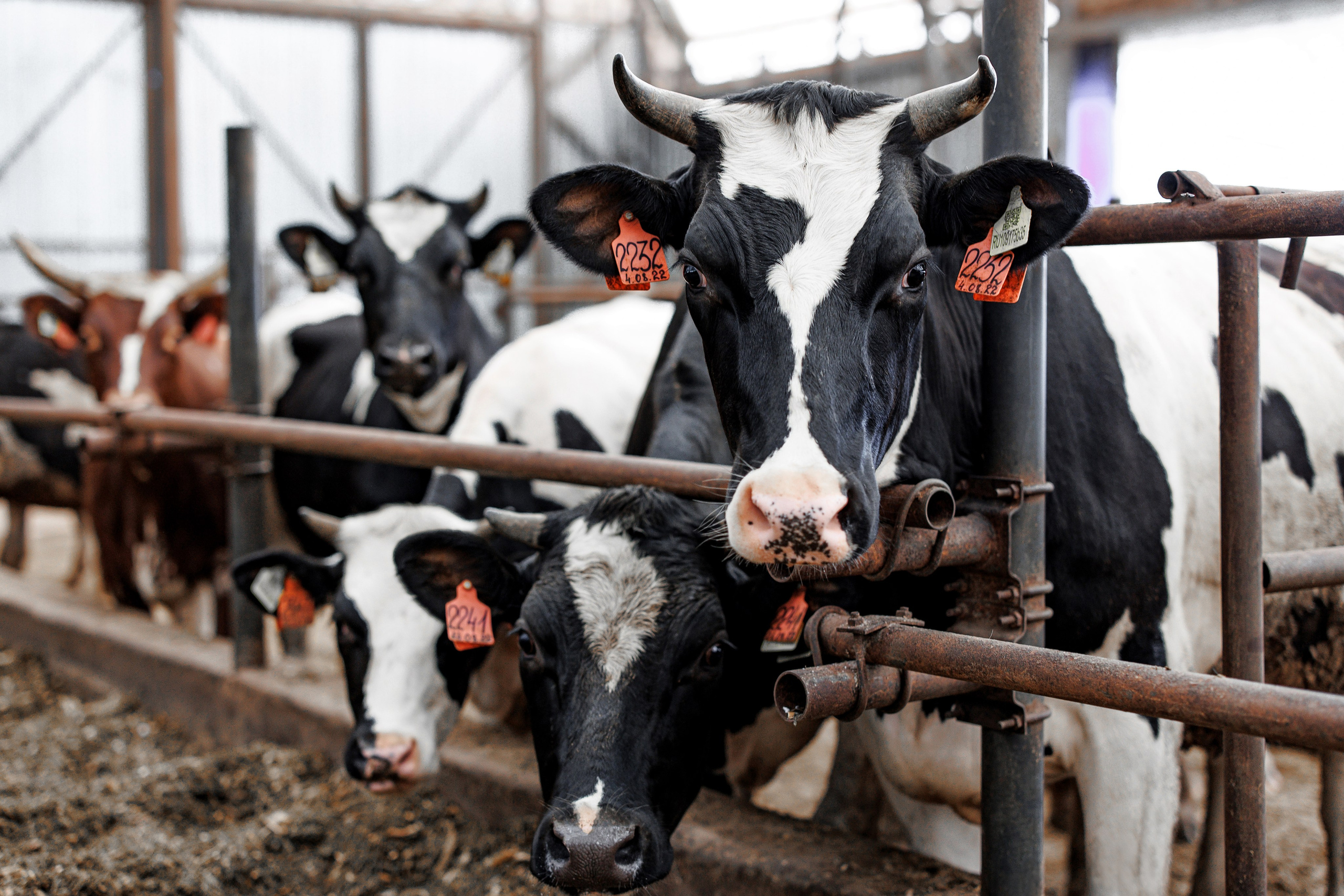 Промышленная фотосьемка. Фотограф Дмитрий Бойков