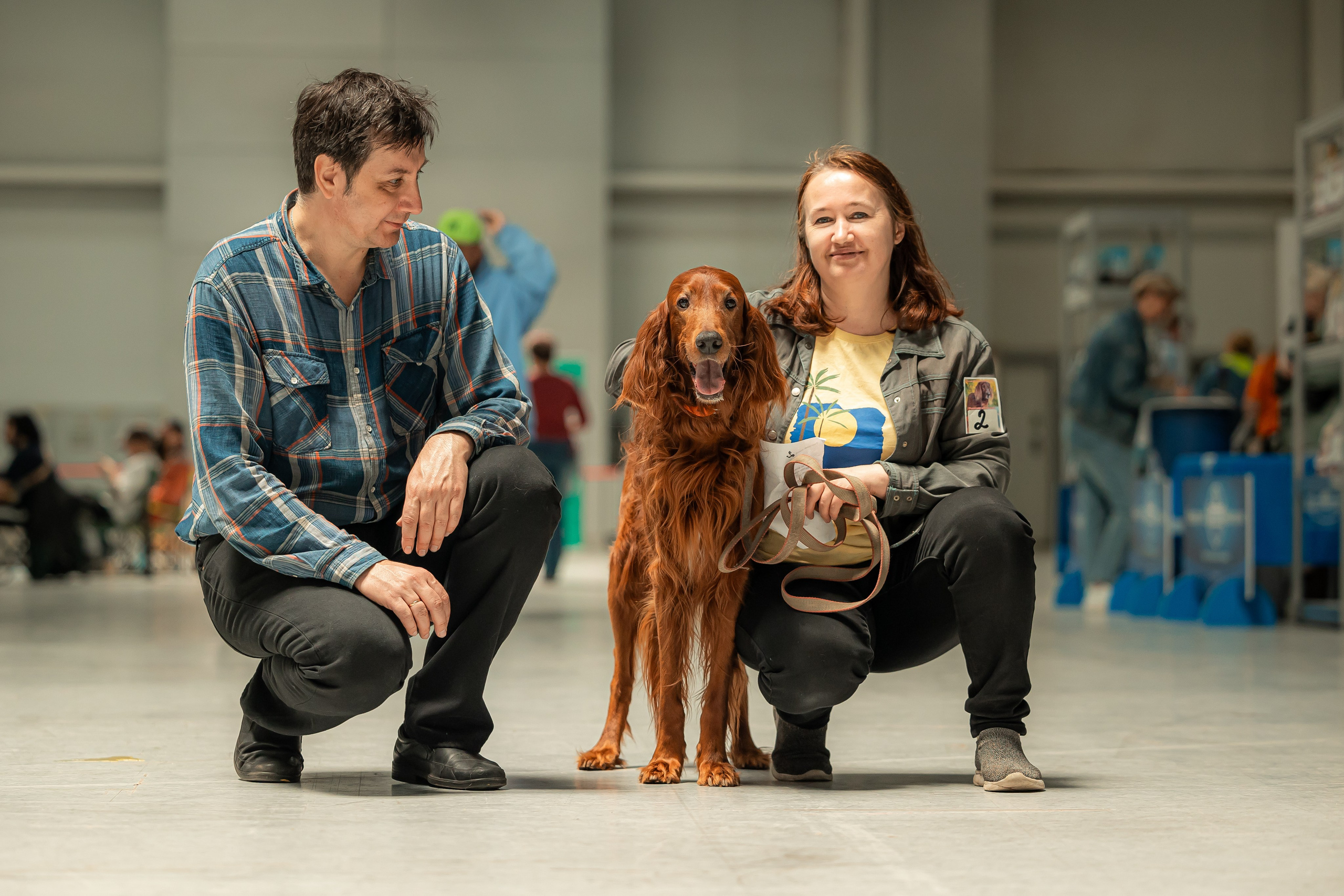 Выставка сеттеров 19.05.24