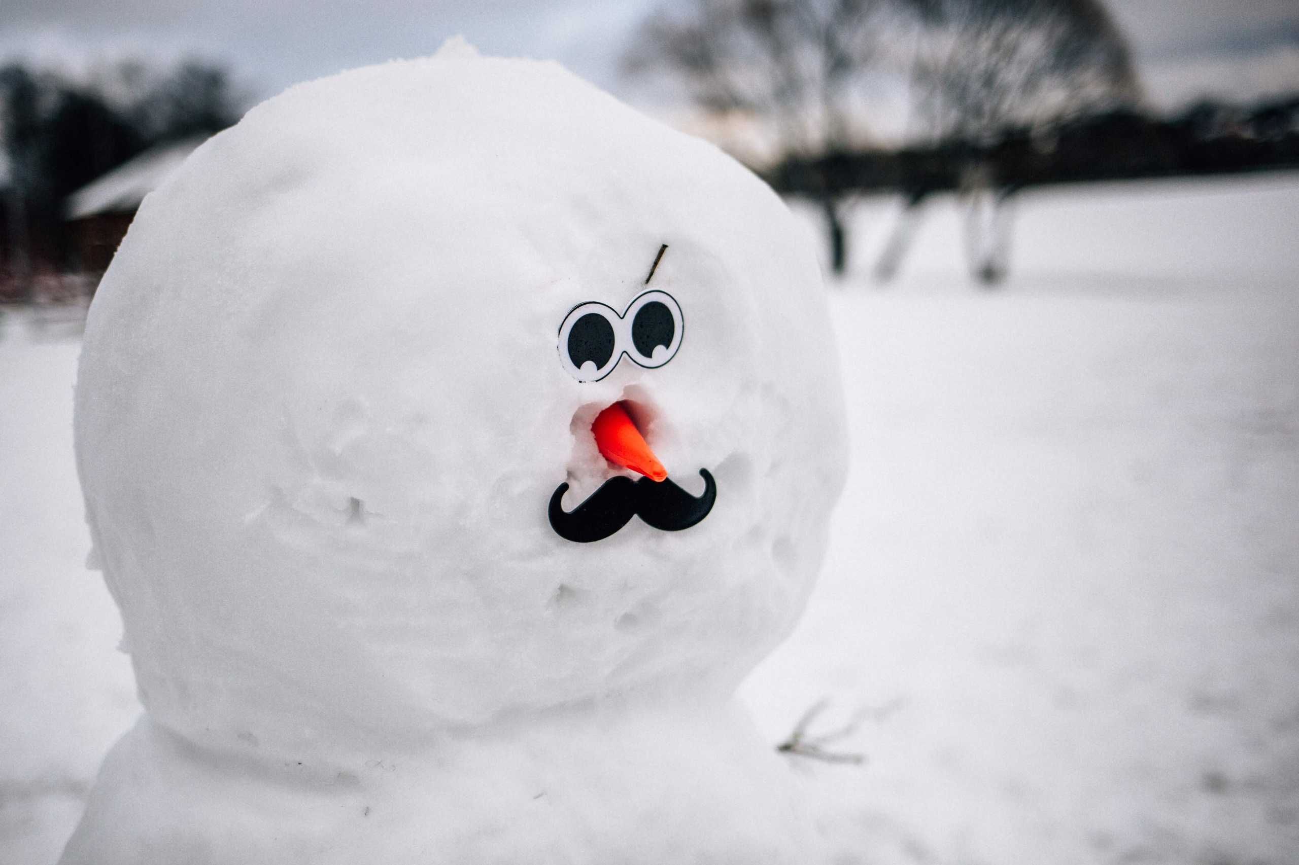 Зимняя прогулка