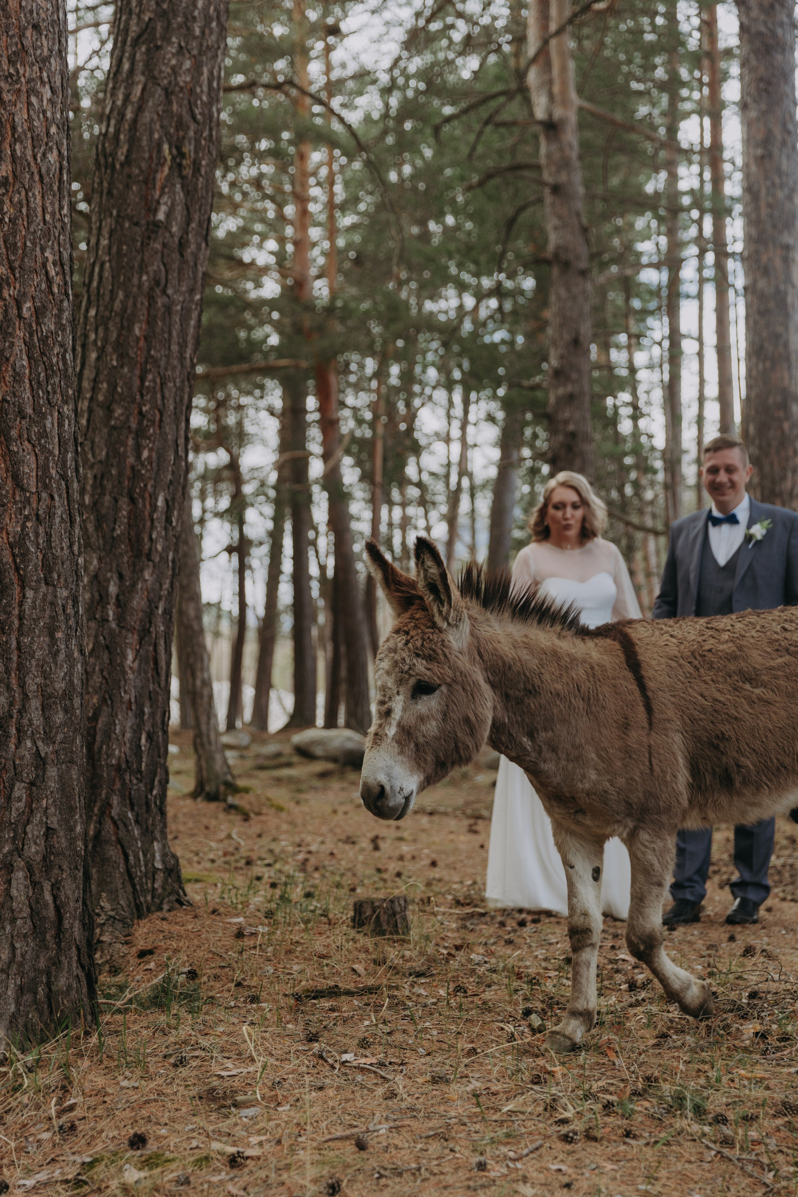 Ольга ღ Валентин. Портфолио