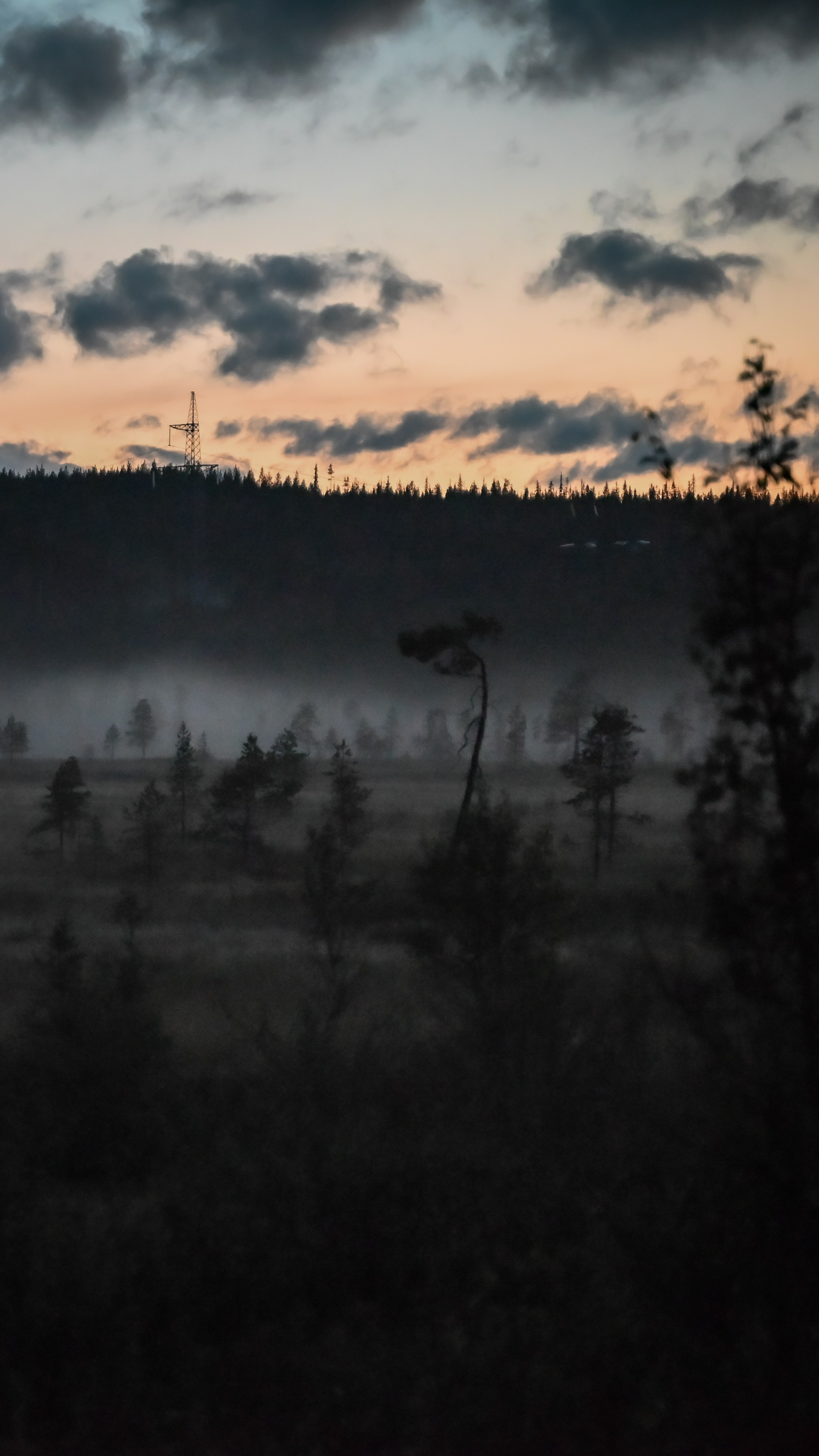 Nature. Андрей Пиотровский. Фотограф