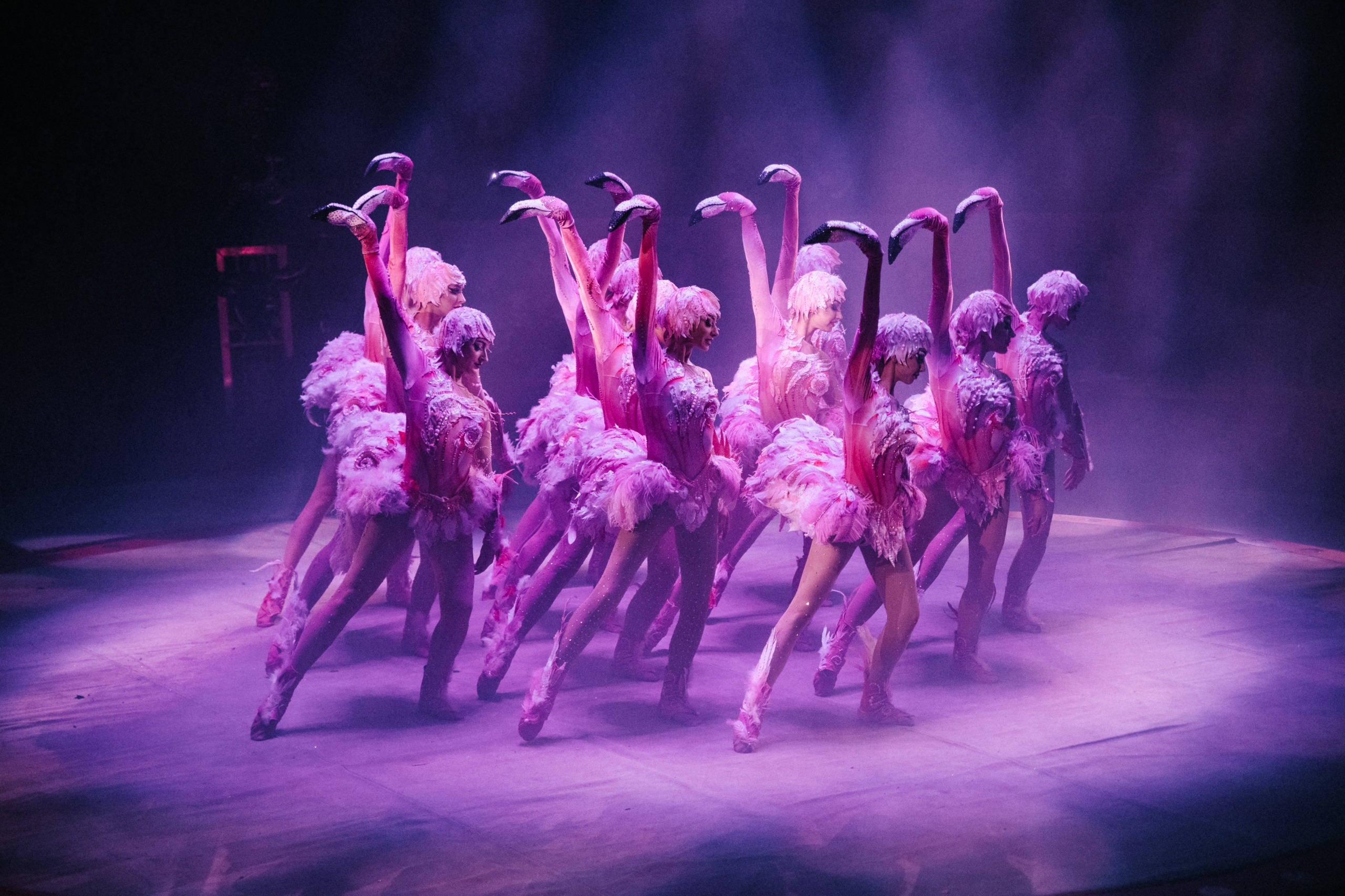 Королевский Цирк Гии Эрадзе. Репортажный и портретный фотограф в Санкт-Петербурге Степлевич Дарья