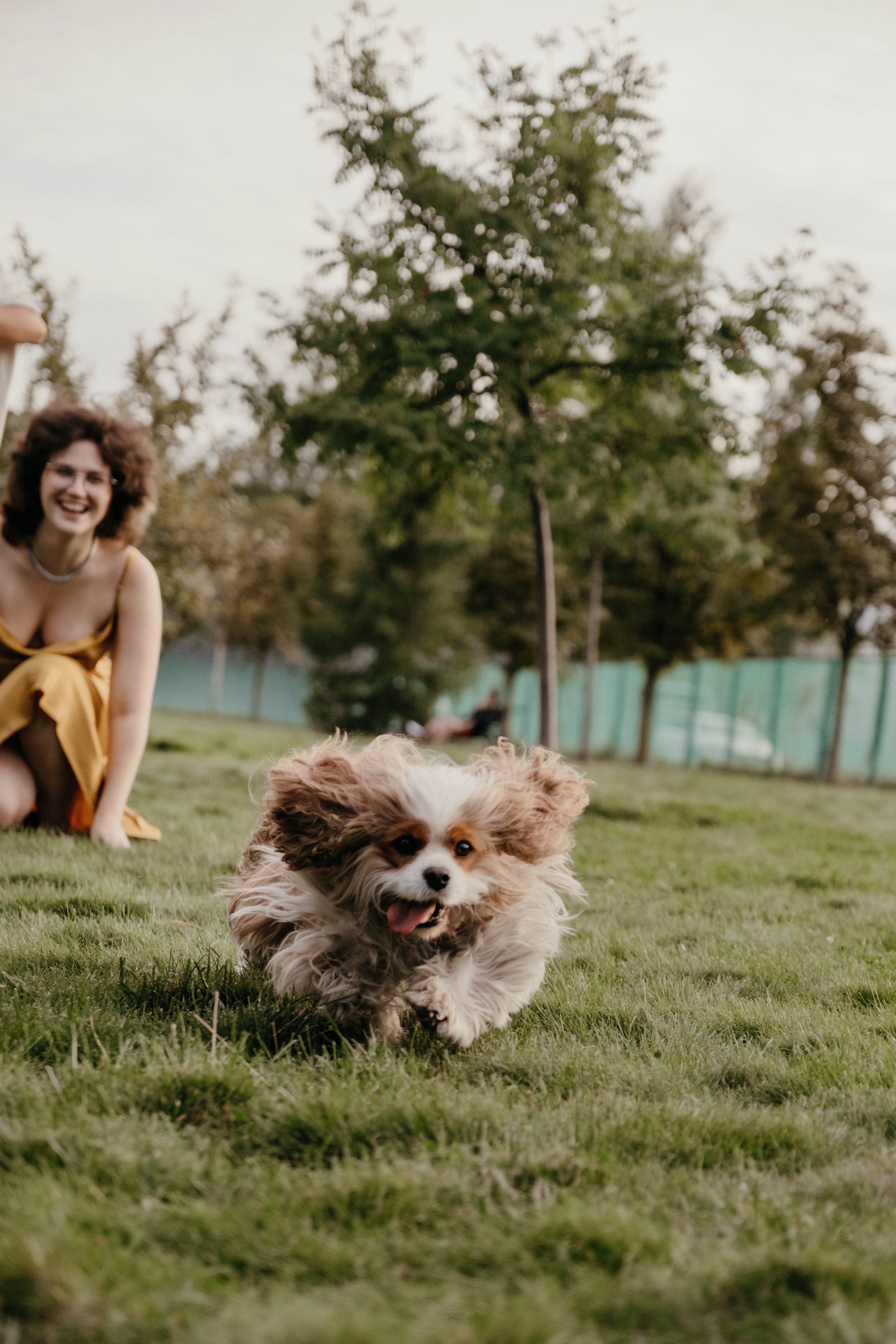 Празднование Дня Рождения. Портретный и репортажный фотограф Ульяна Белчанская