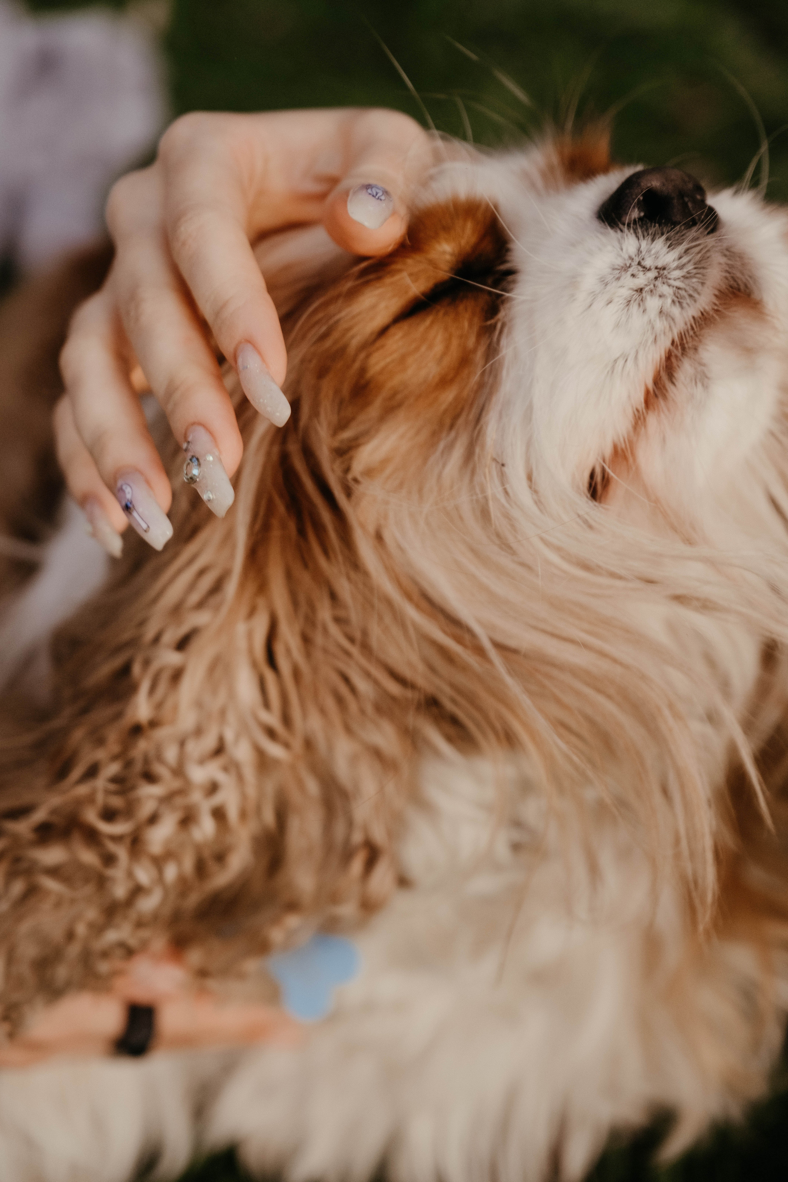 Празднование Дня Рождения. Портретный и репортажный фотограф Ульяна Белчанская
