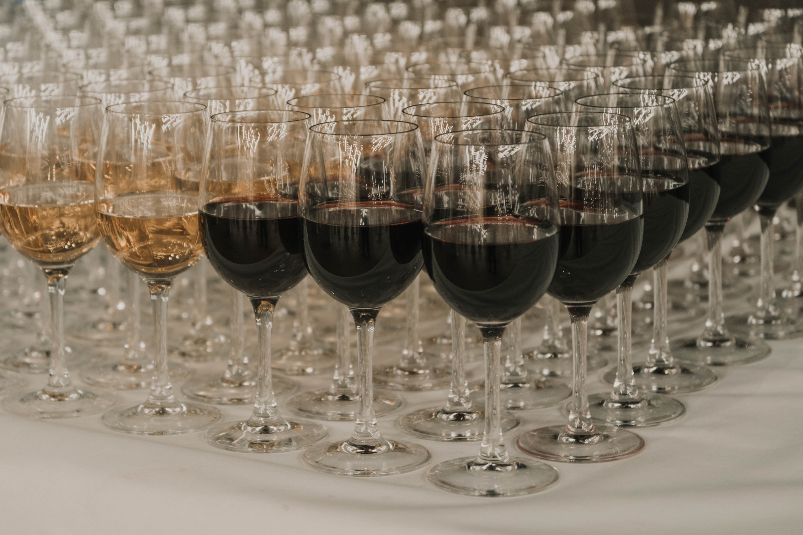 СПбМКФ 2021. Портретный и репортажный фотограф Ульяна Белчанская