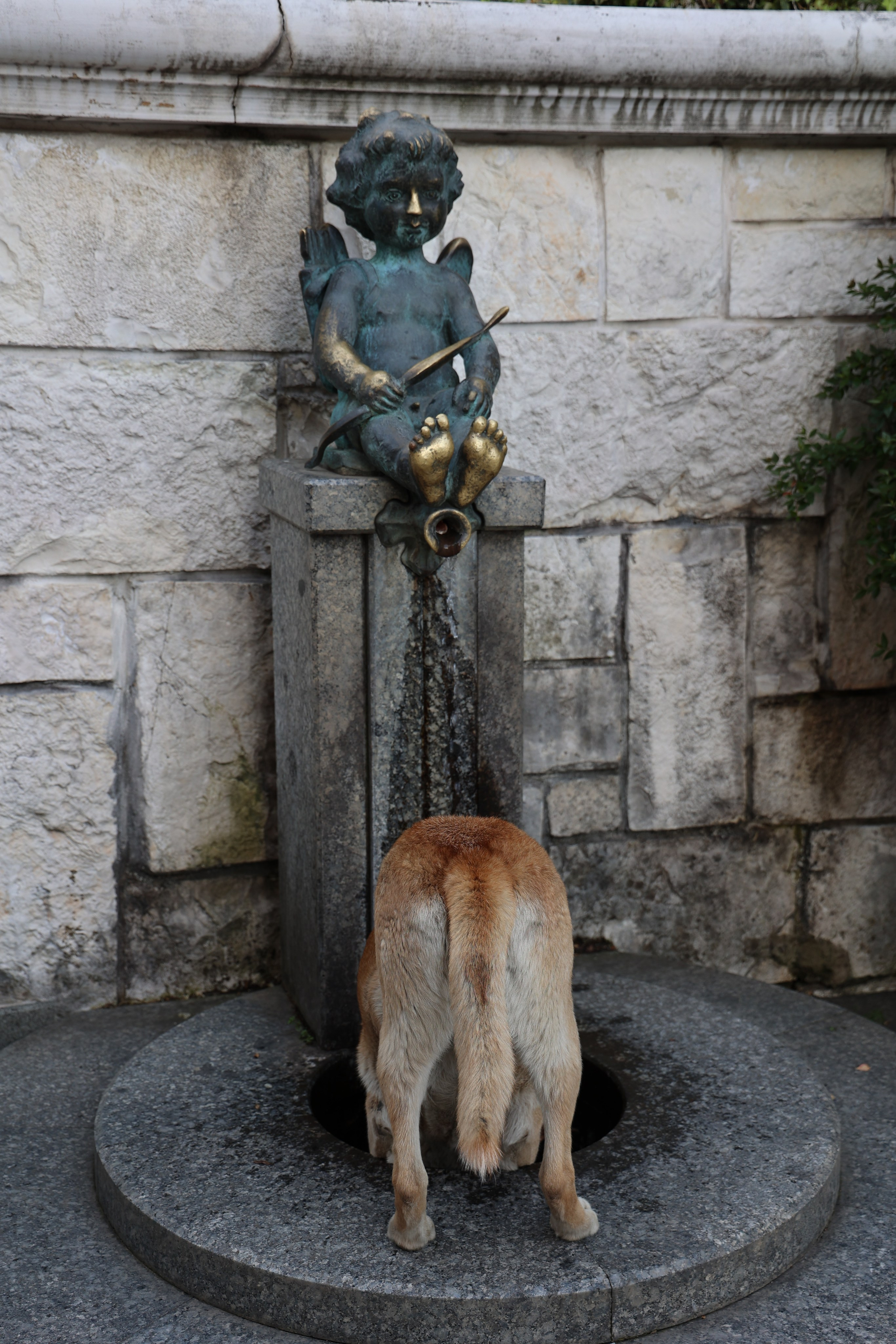 Любимое. Фотограф в Санкт-Петербурге Анна Сосновская