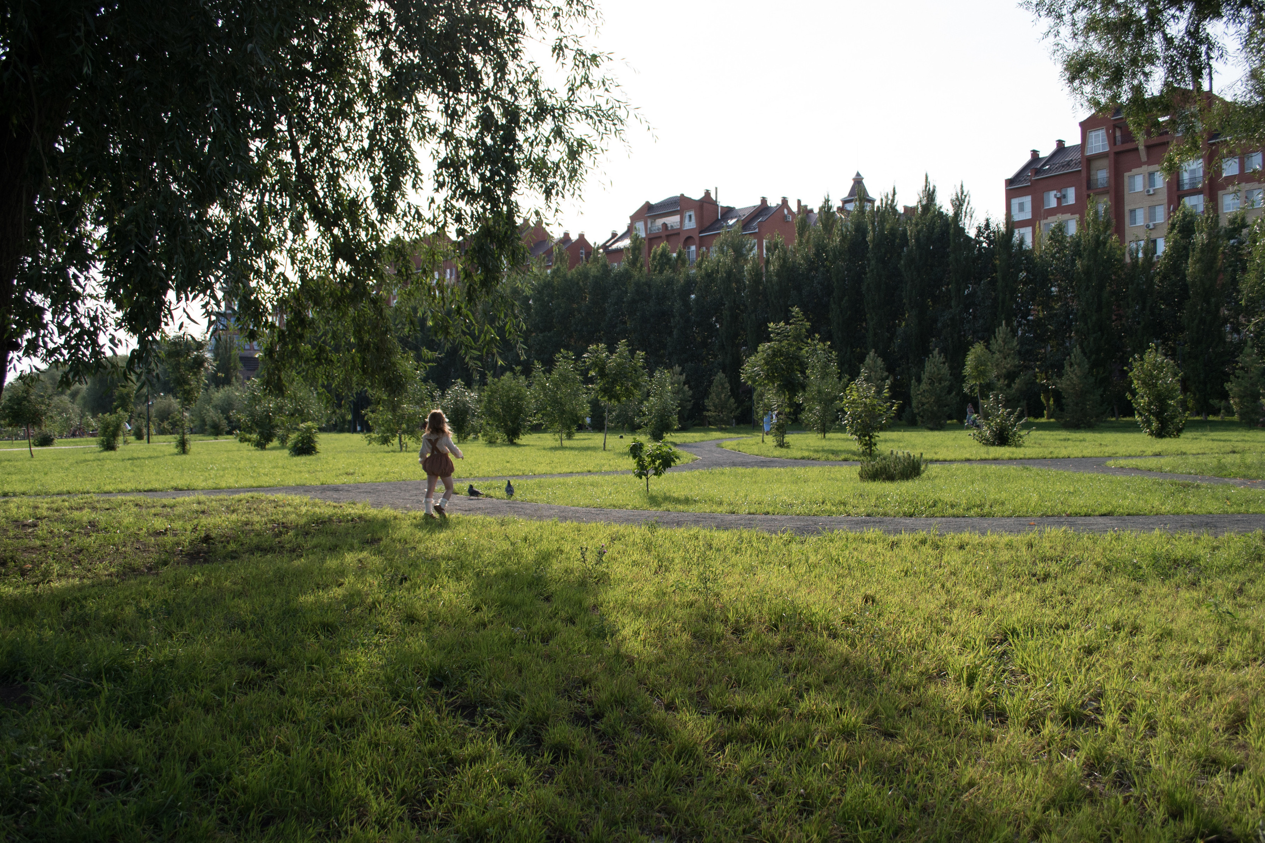 Пикник с Алисой. Семейный и детский фотограф в Оренбурге Елена Студеникина