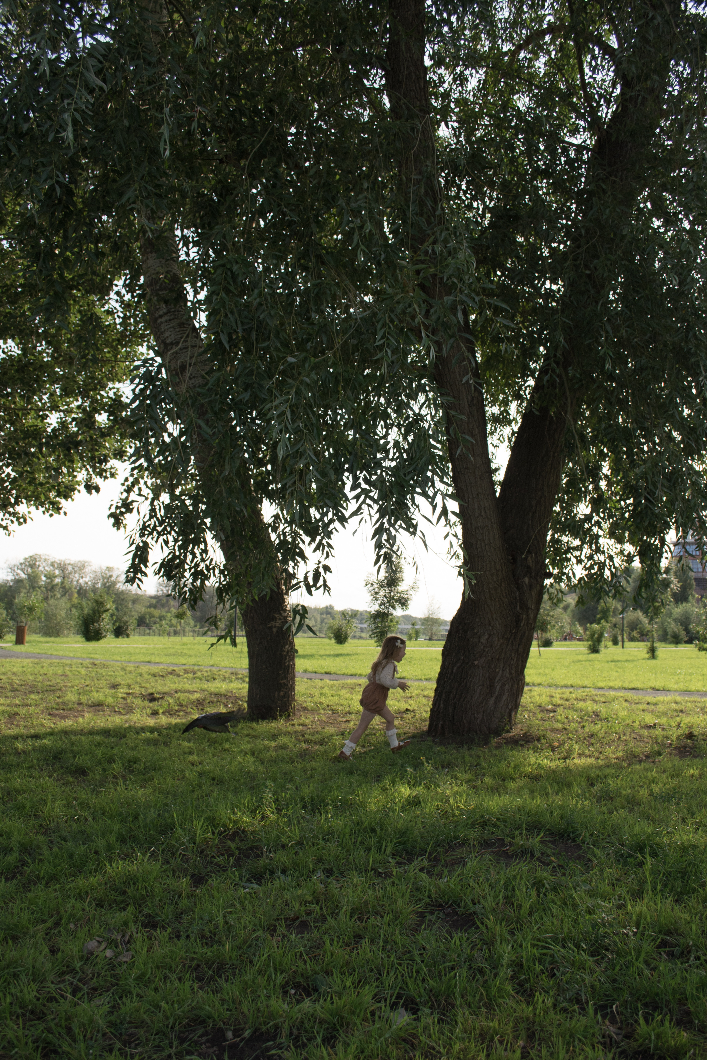 Пикник с Алисой. Семейный и детский фотограф в Оренбурге Елена Студеникина