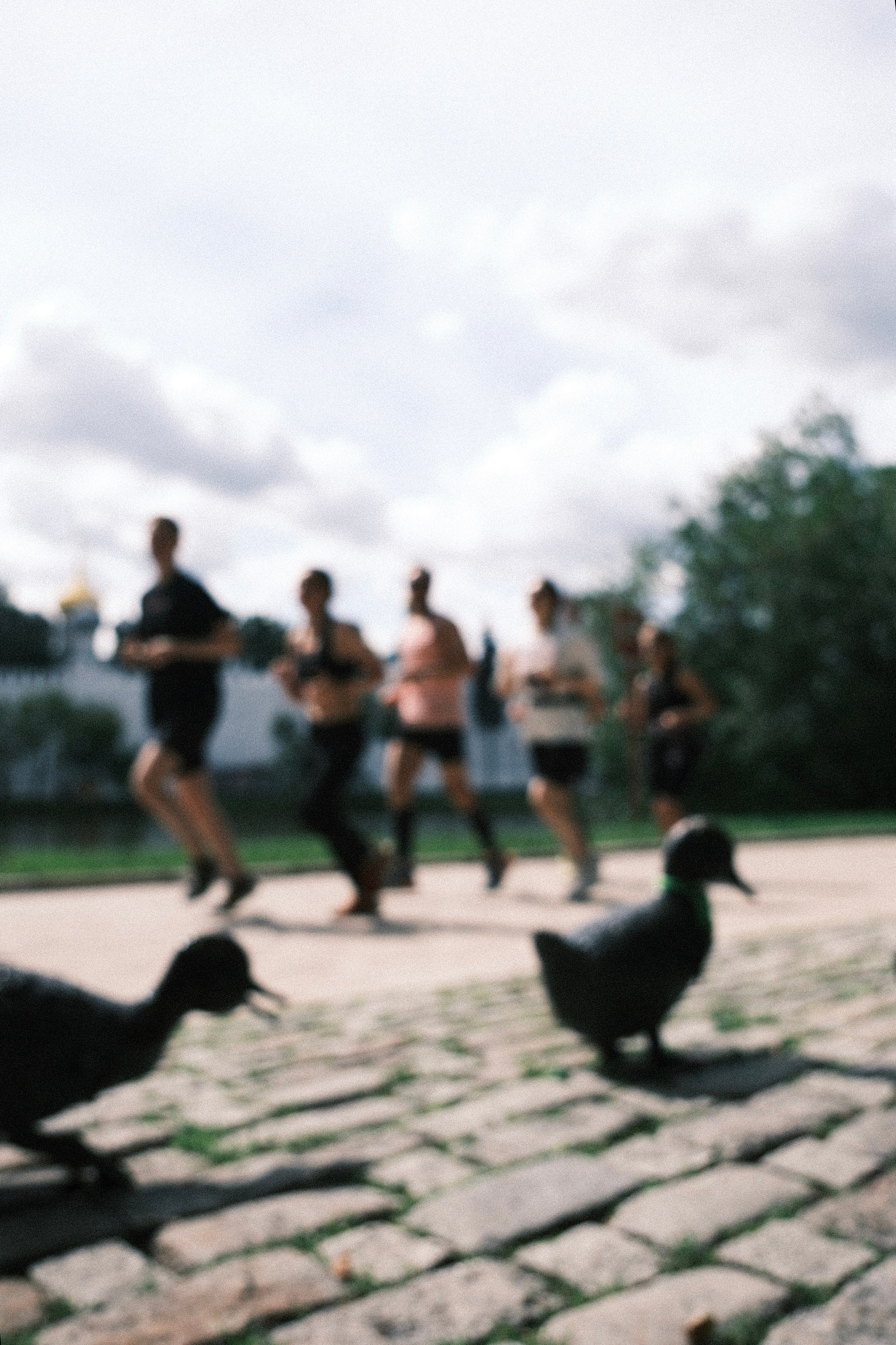 Social Run Community. M. Neizvestniy — уличная и спортивная фотография