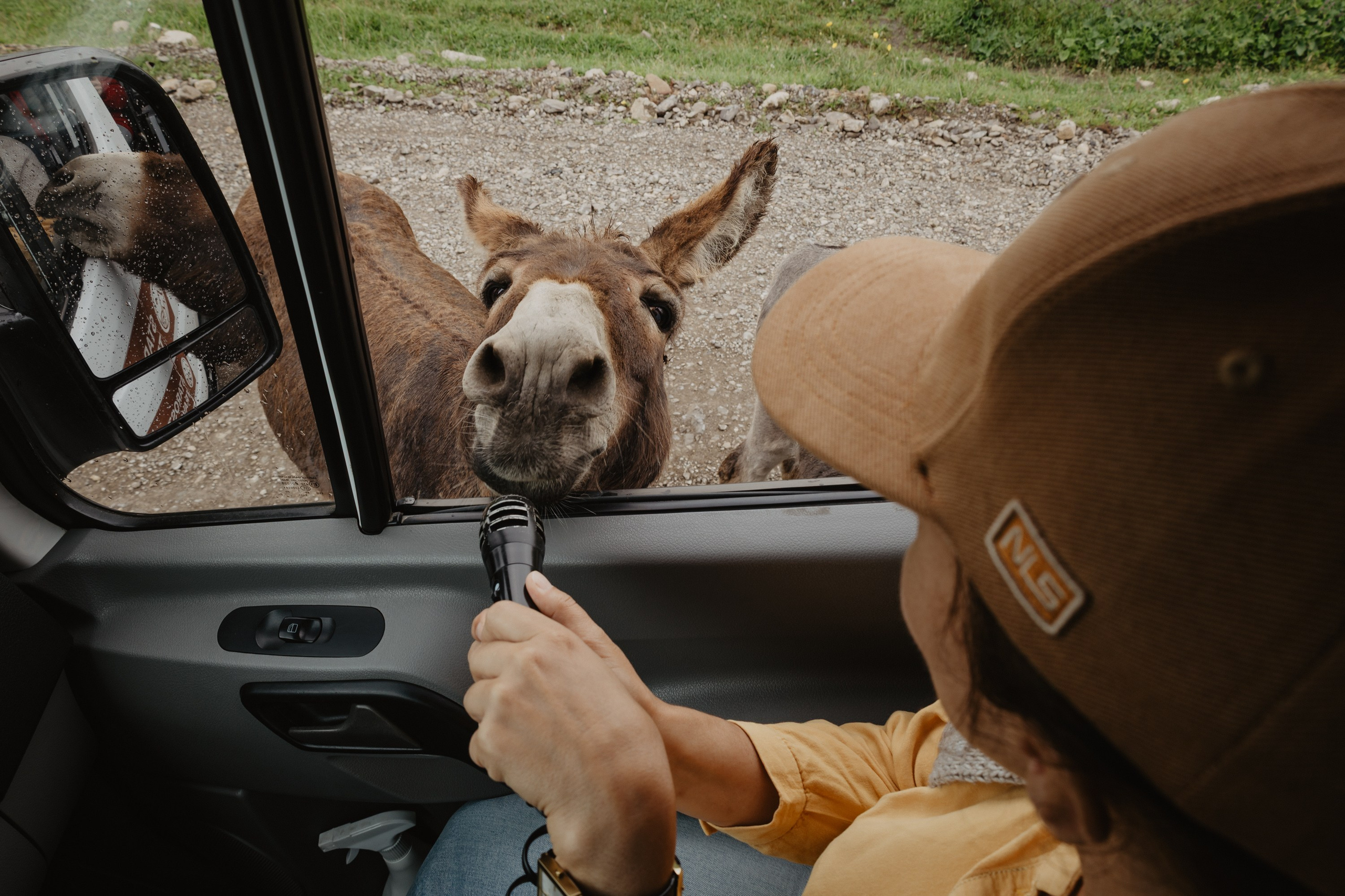 Северная Осетия. Июнь 2025. Валерия, репортажный фотограф в г. Москва и г. Владикавказ