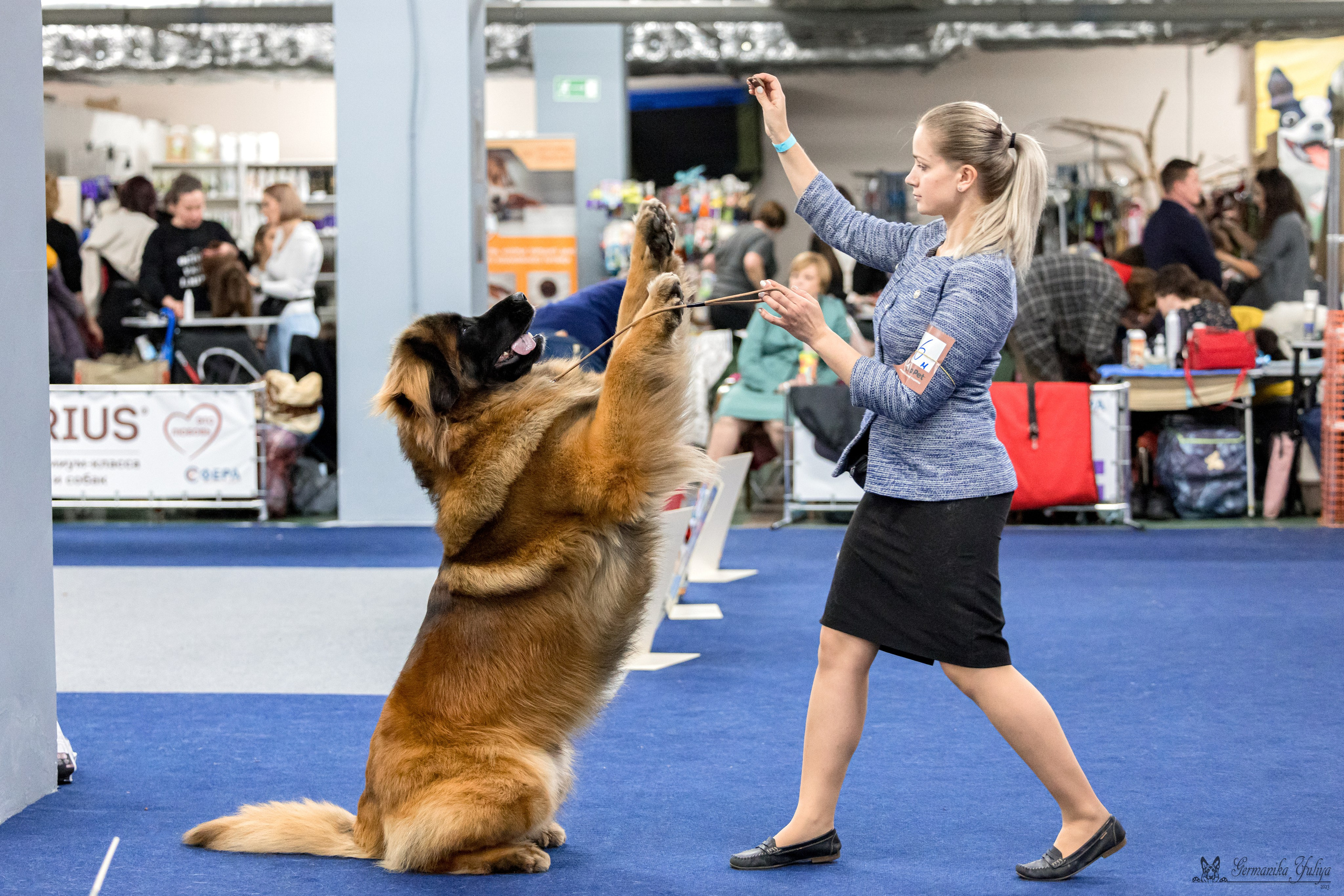 Сфера 29.10,Крокус 4.11,Сфера 12.11.2023. Фотограф-анималист Юлия Германика