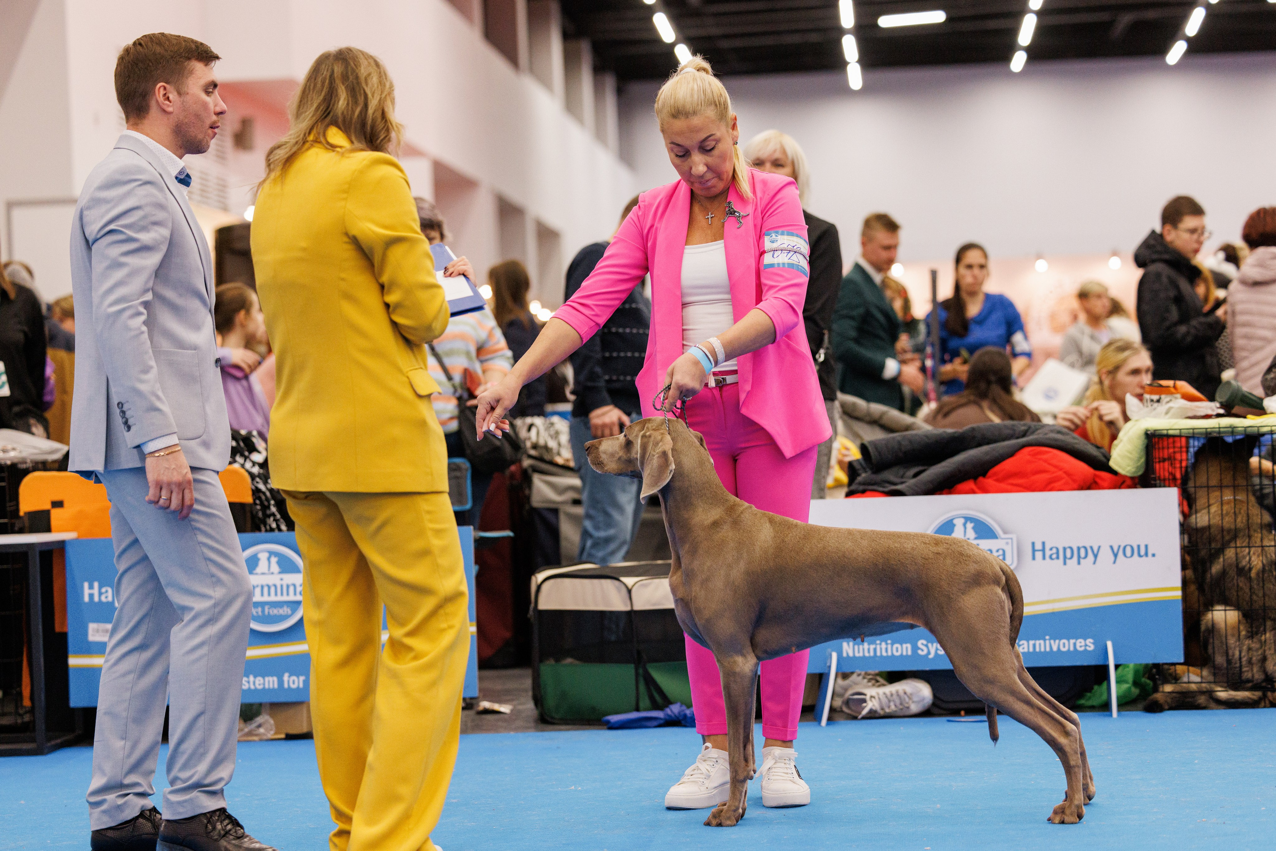 Нижний Новгород 21-22.10.2023. Фотограф-анималист Юлия Германика