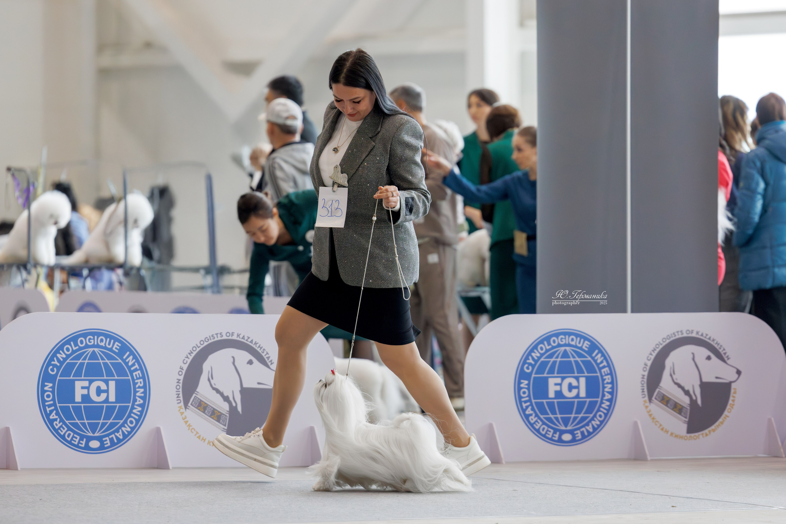 Астана 2хCACIB 3-4.05.2025. Фотограф-анималист Юлия Германика