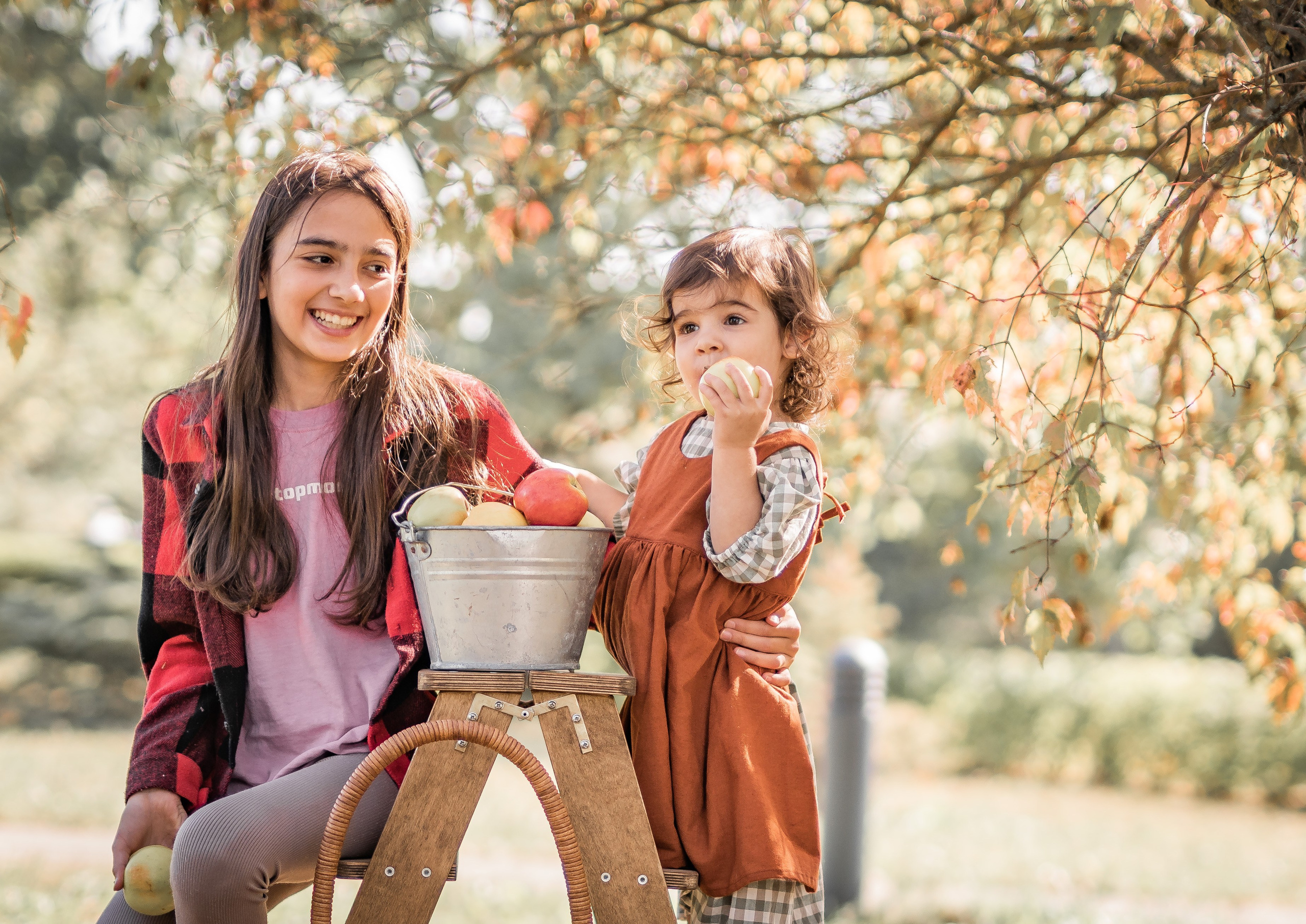 Яблоки. Семейный фотограф Ефремова Виктория