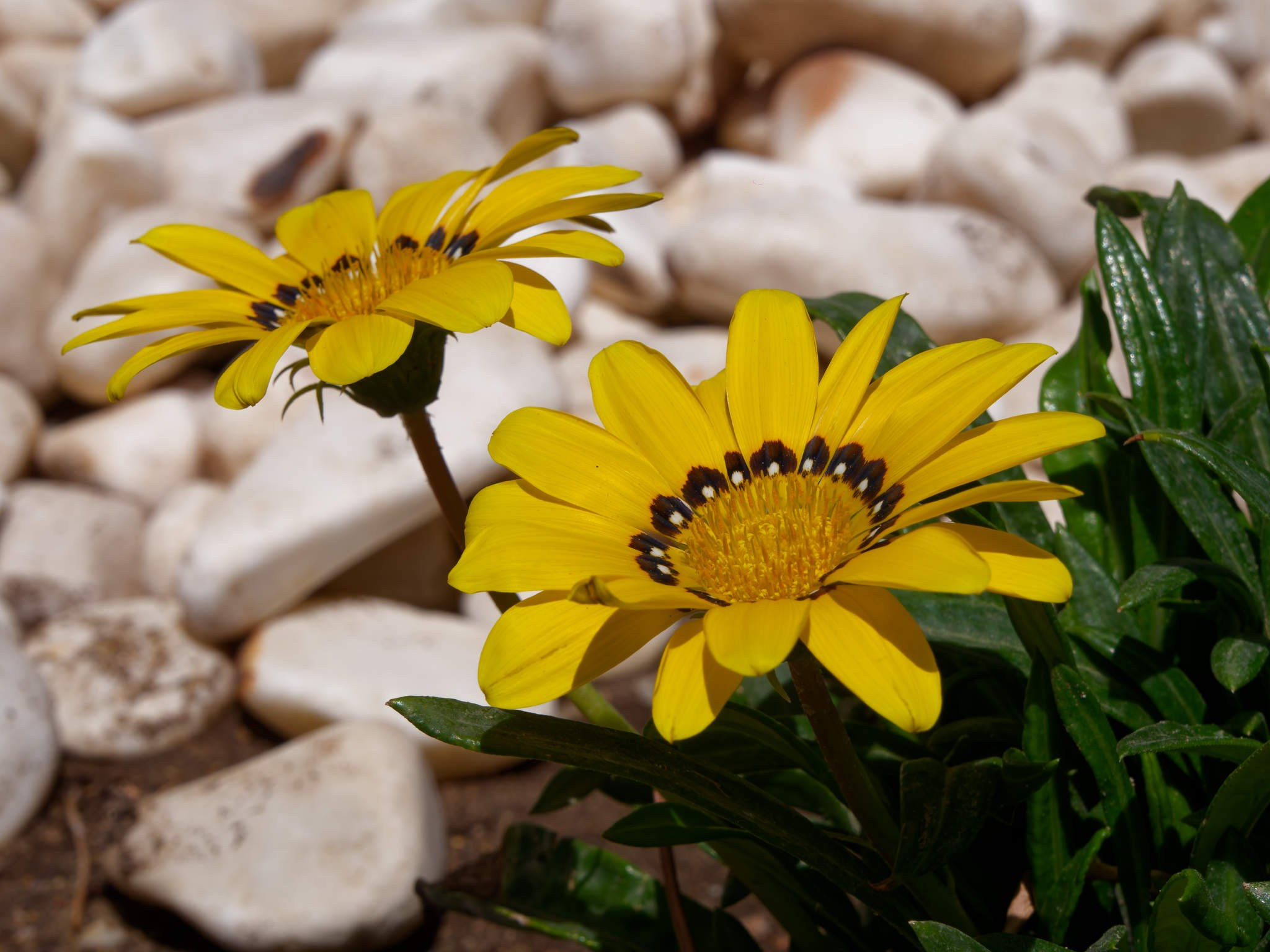 Шарм-эль-Шейх 2024. Избранные фотографии