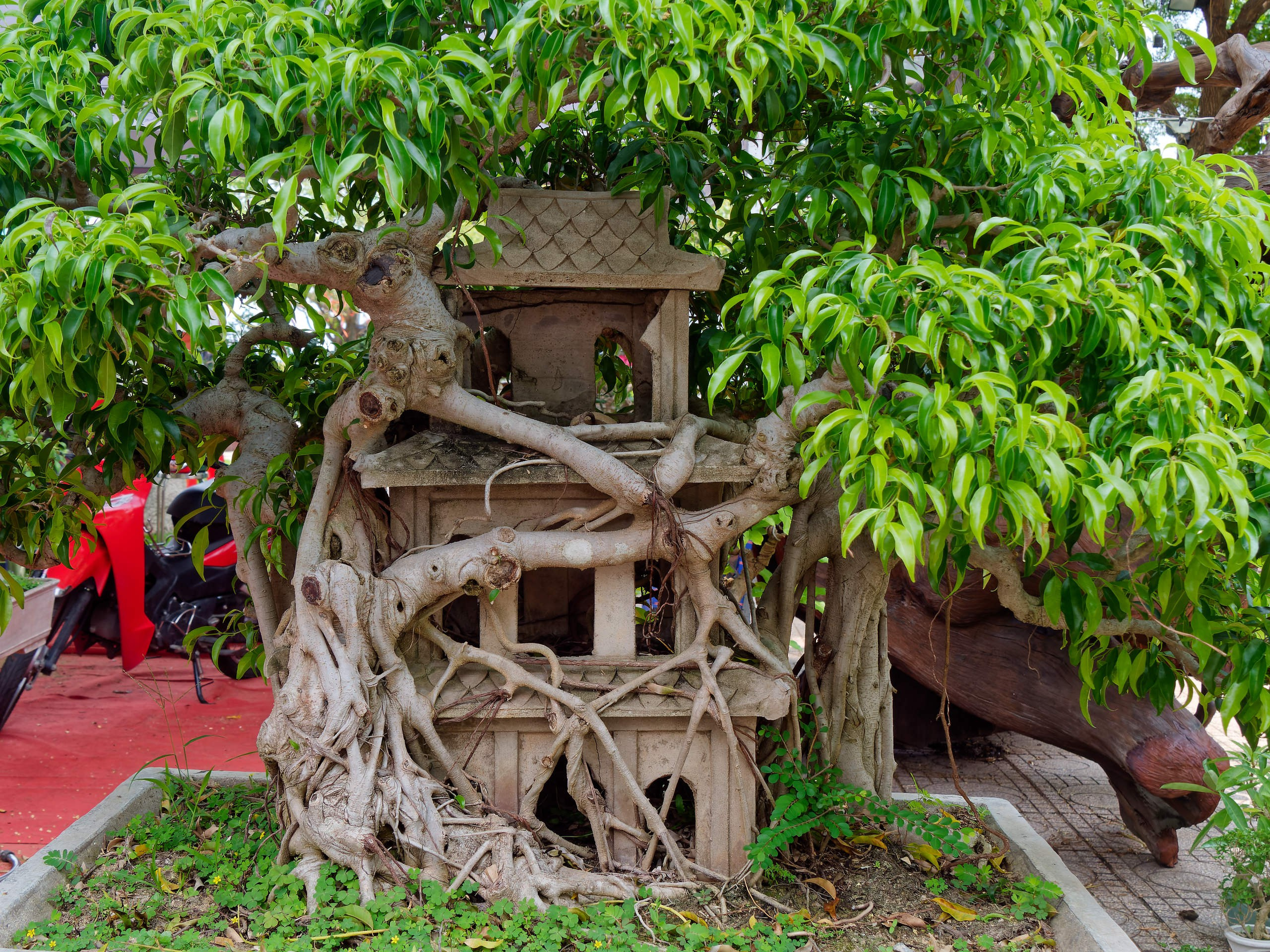 Нячанг 2025 (7). Избранные фотографии