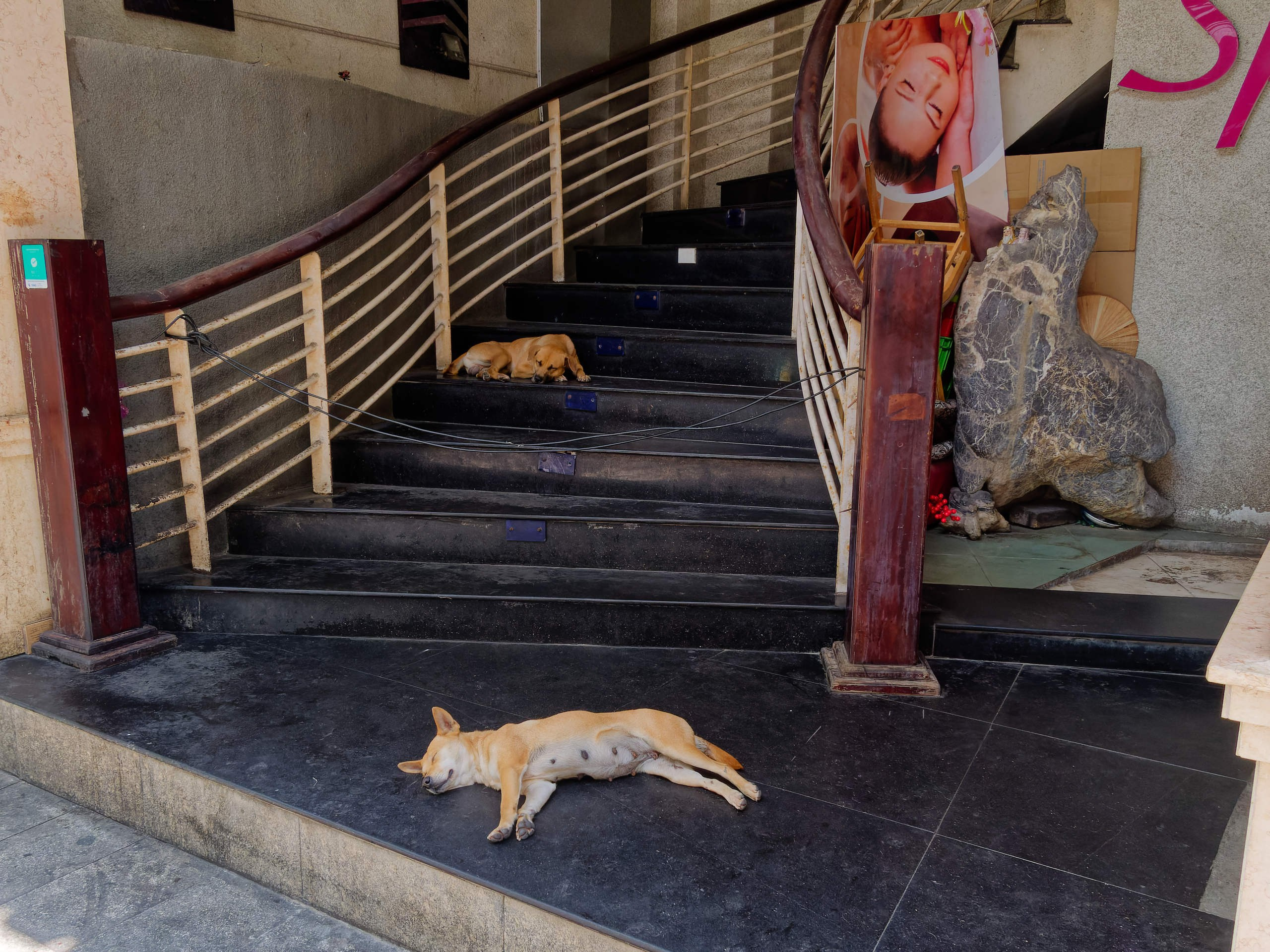 Нячанг 2025 (6). Избранные фотографии