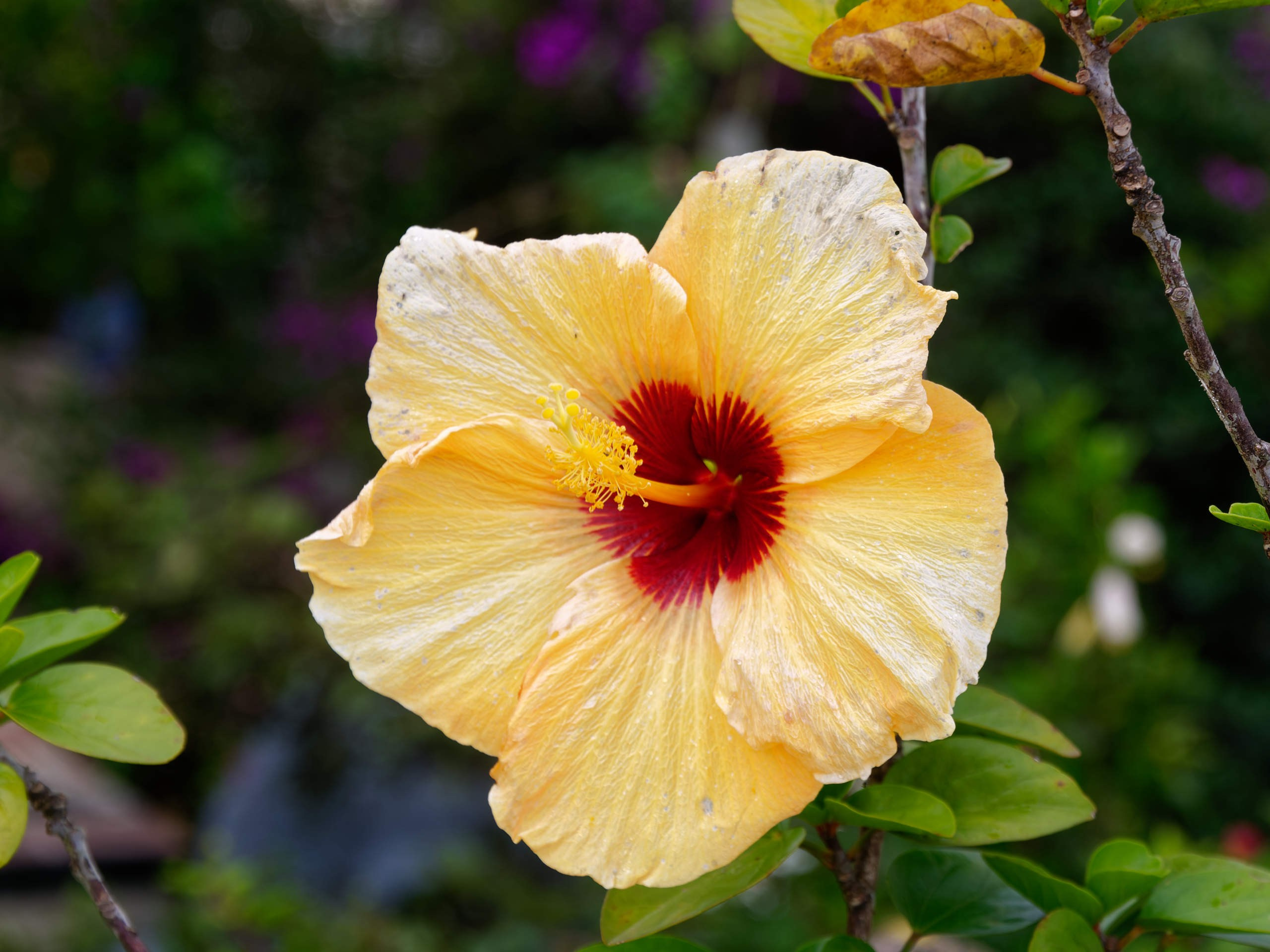 Далат 2023. Избранные фотографии