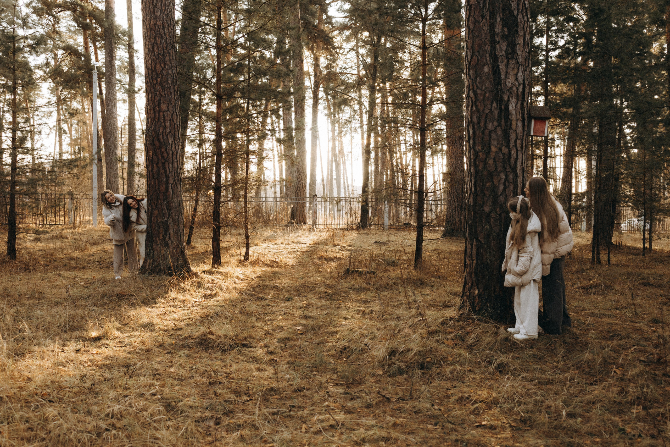 Лариса, Виолетта, Дарья, Ярослава. Фотограф в Туле и Алексине Стулова Мария