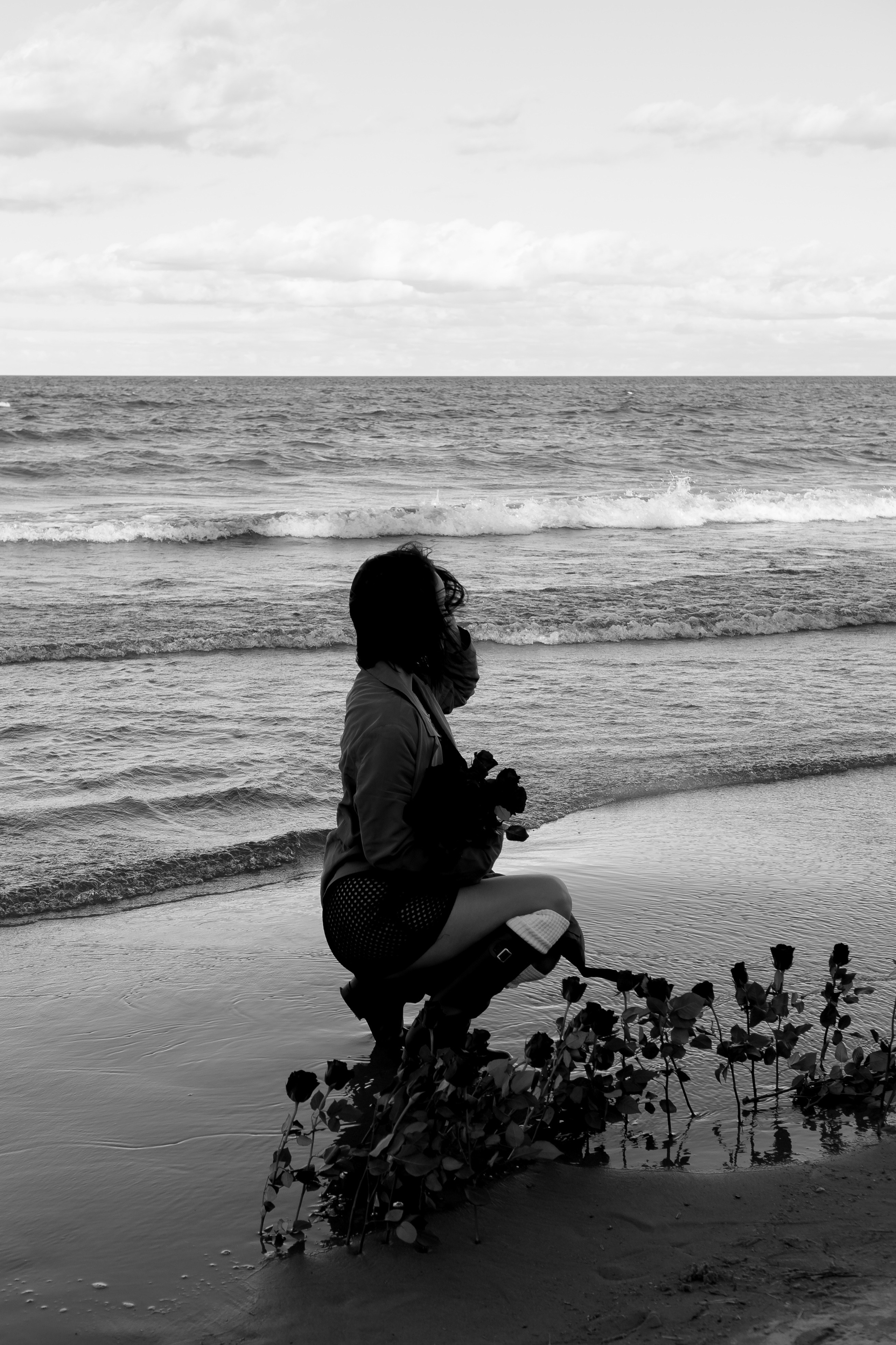 Розы. Профессиональный фотограф, Санкт-Петербург — Виктория Богомолова