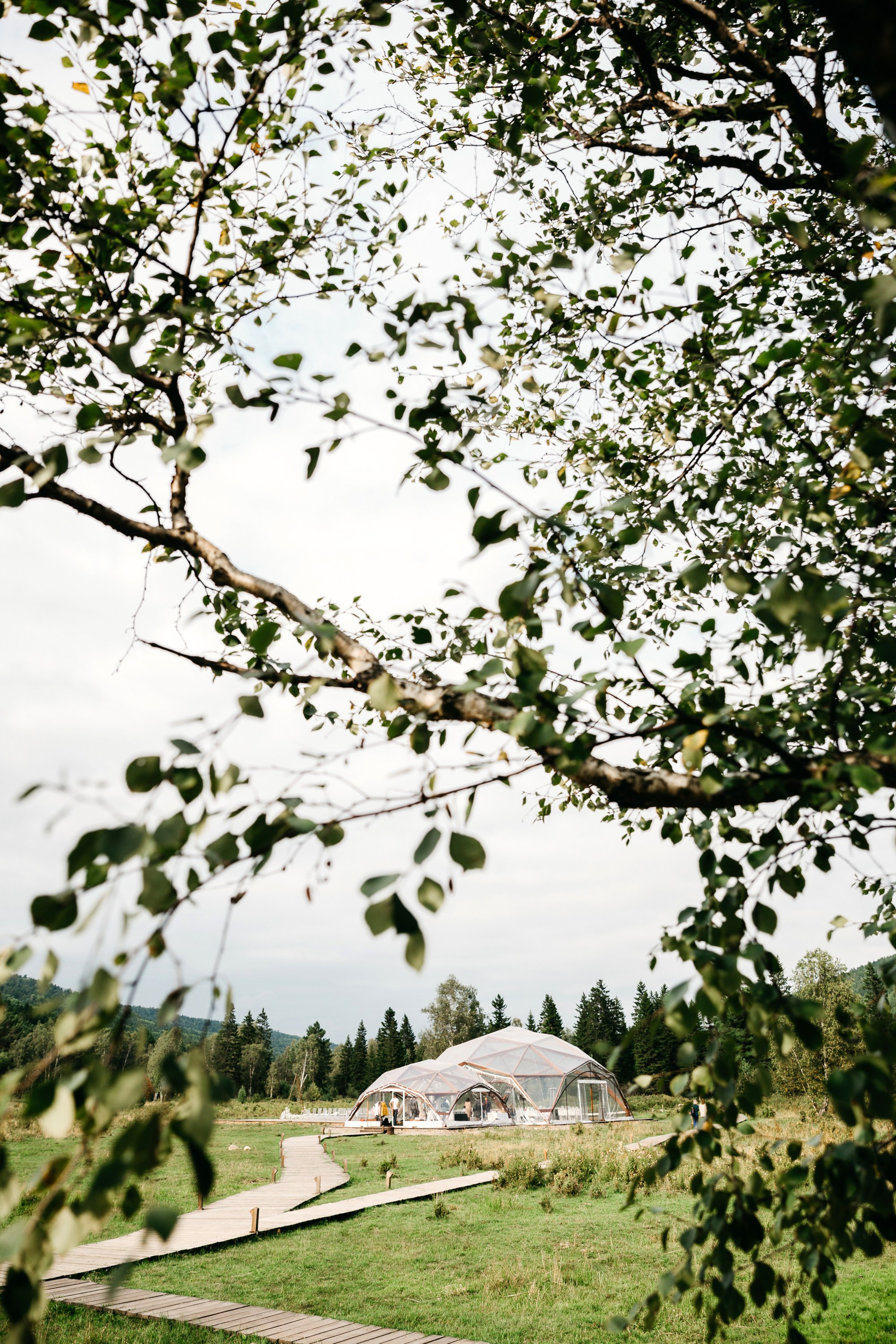 Сергей и Светлана. Свадебный фотограф Иркутск, репортажный фотограф Иркутск