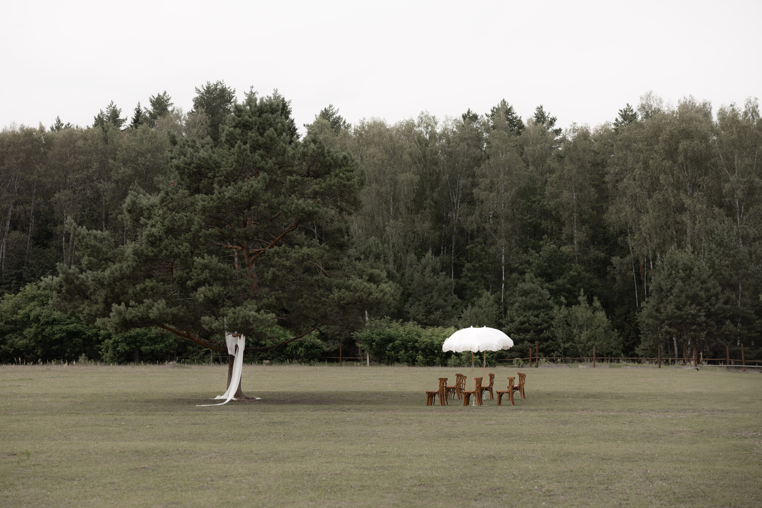 Артур и Таисия. Свадебный фотограф Тула Москва СПБ / Сёмина Дарья