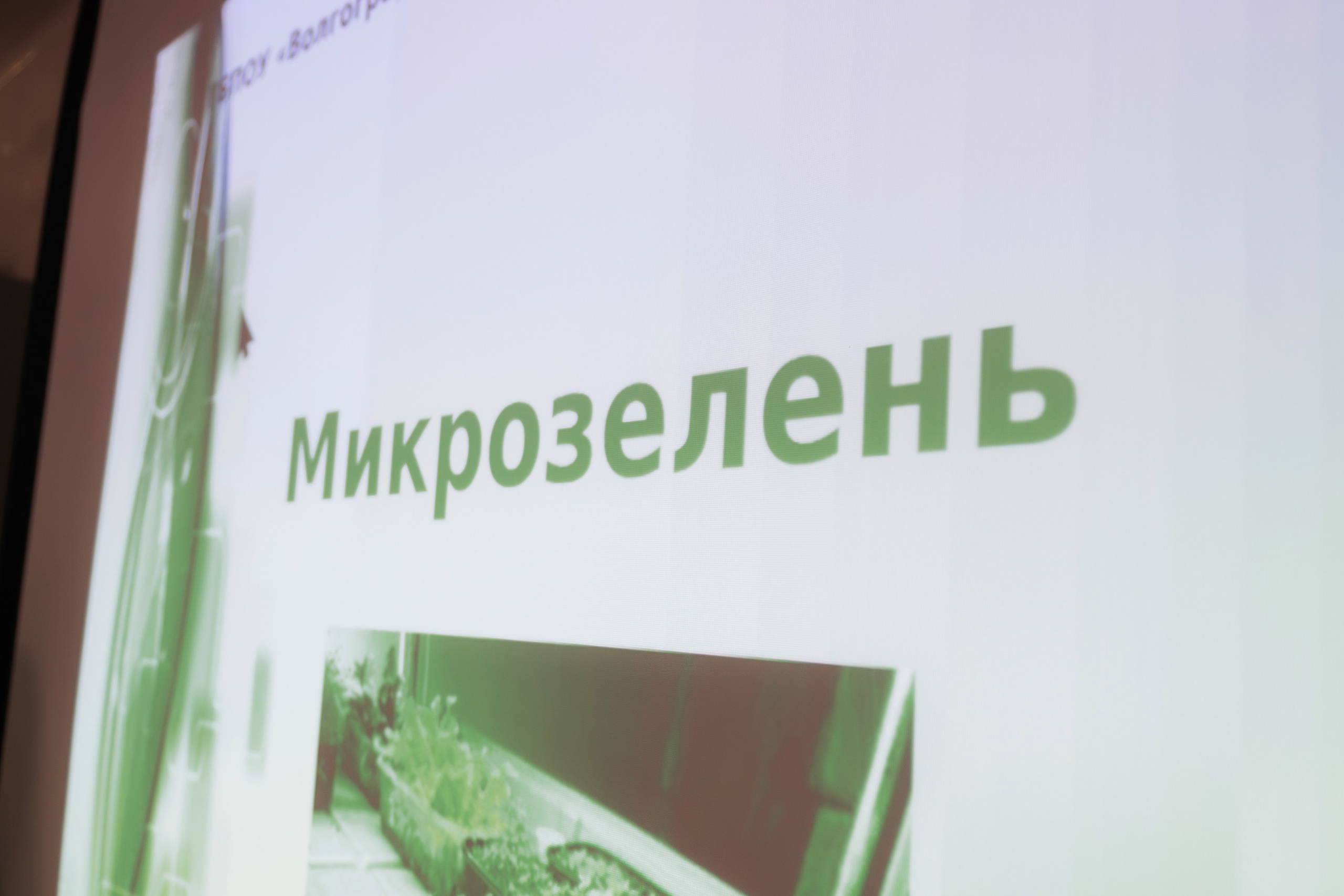 Пятёрочка. Школа питания. Фотограф в Волгограде Виталий Самойлов