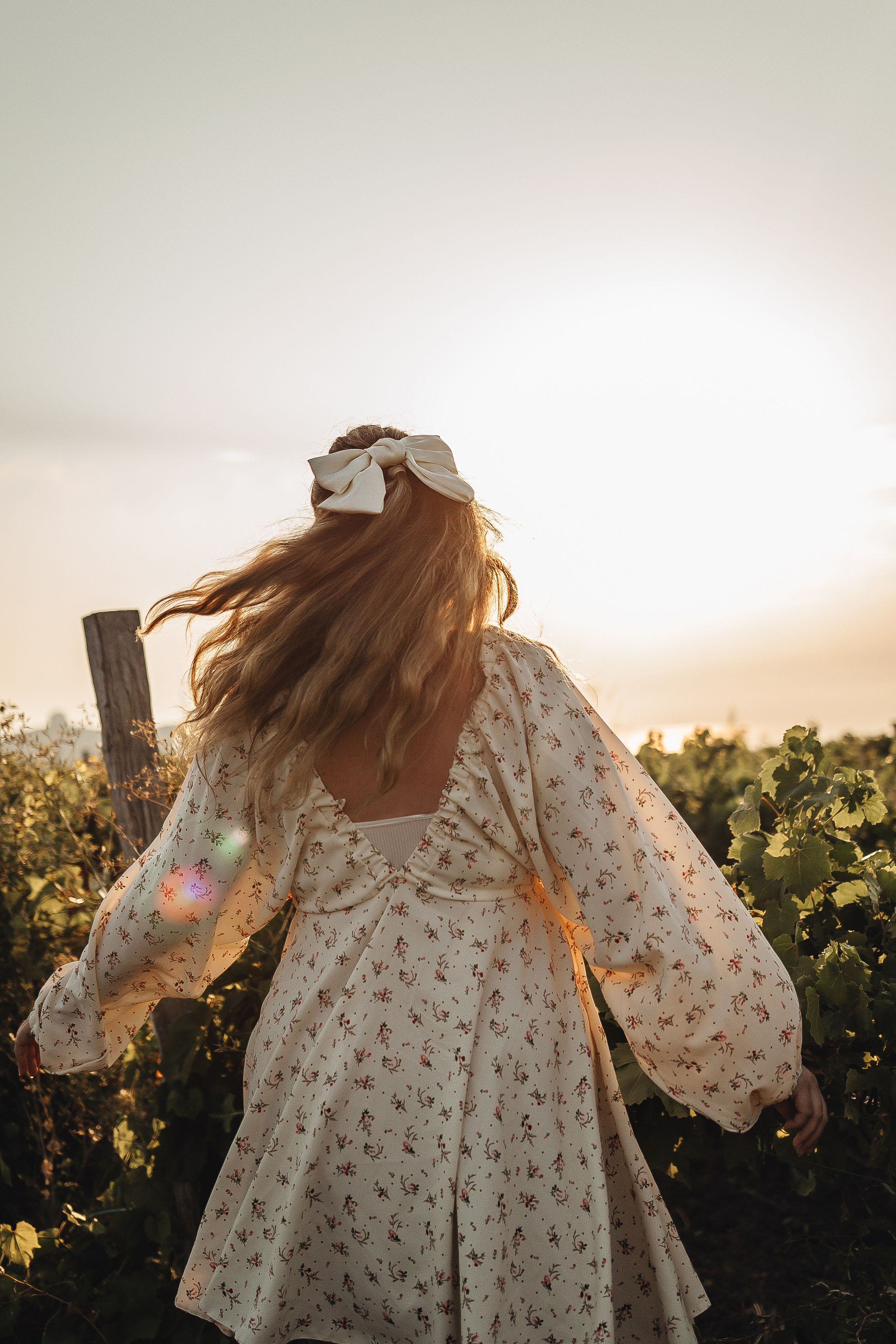 Антон и Мария — виноградная лоза Гай-Кодзора. Семейный фотограф Новороссийск, Анапа, Геленджик — Юлия Давыдова