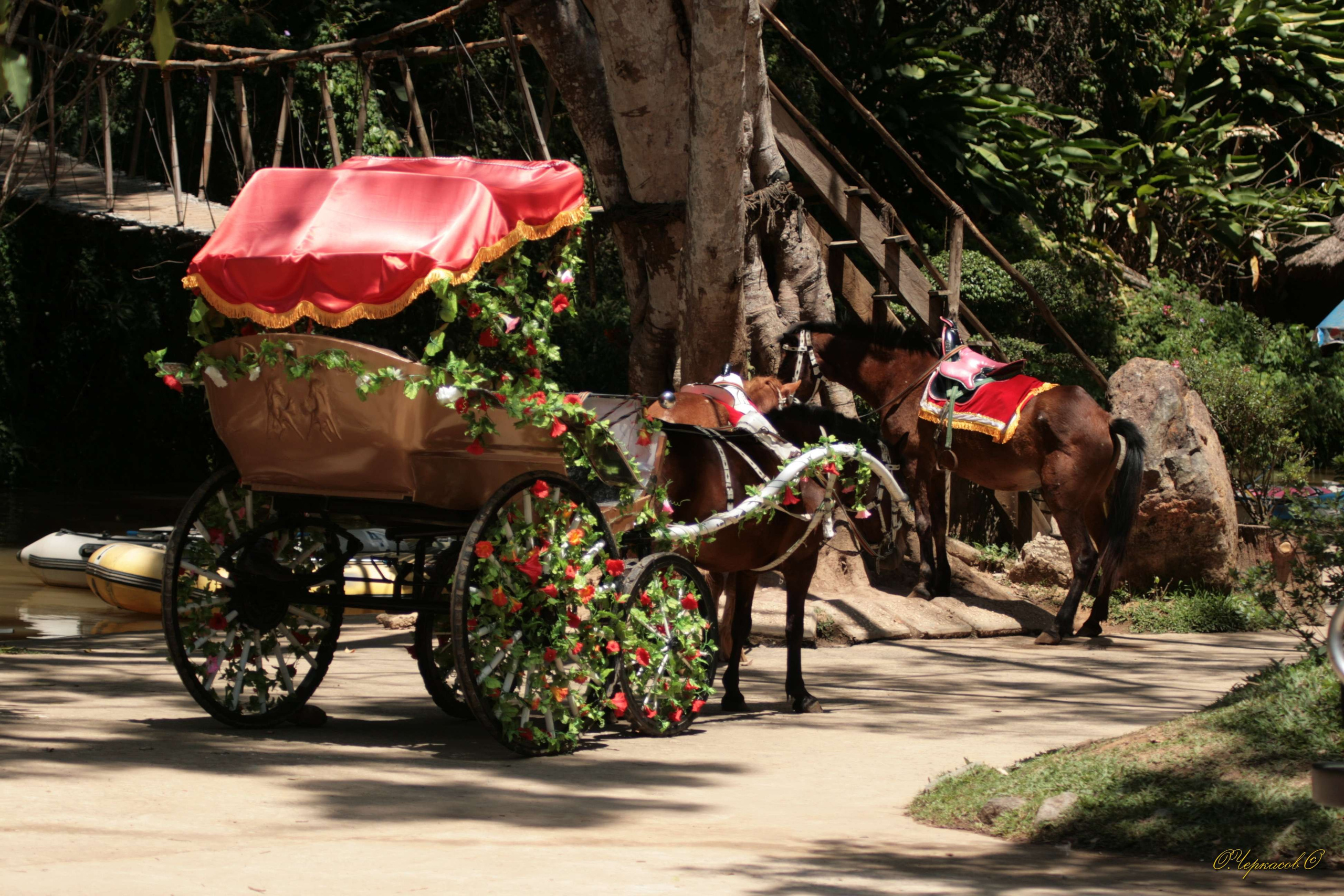 Вьетнам 2008 г. Улица, люди, жизнь…