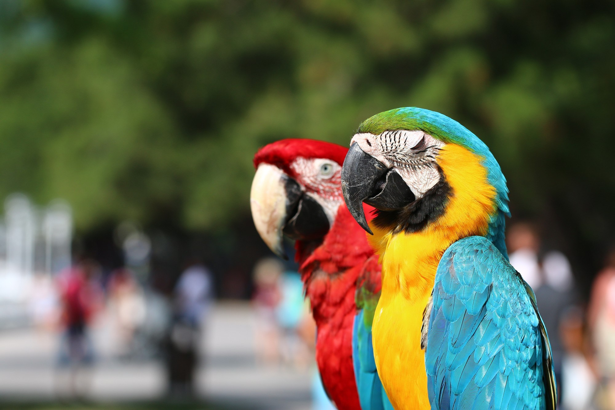 Геленджик 2016 г. Улица, люди, жизнь…