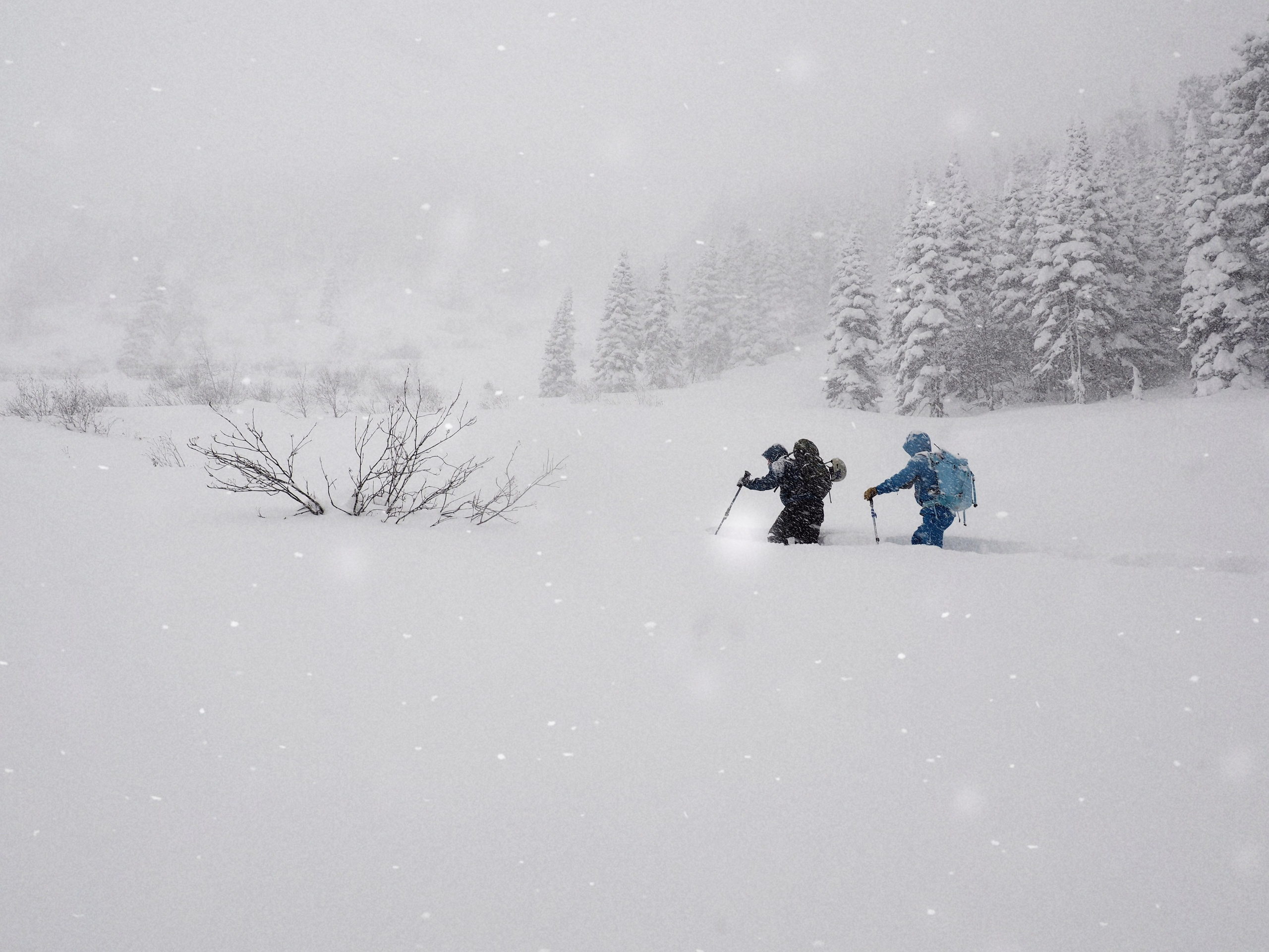 Пейзажи. Смотри, красота!