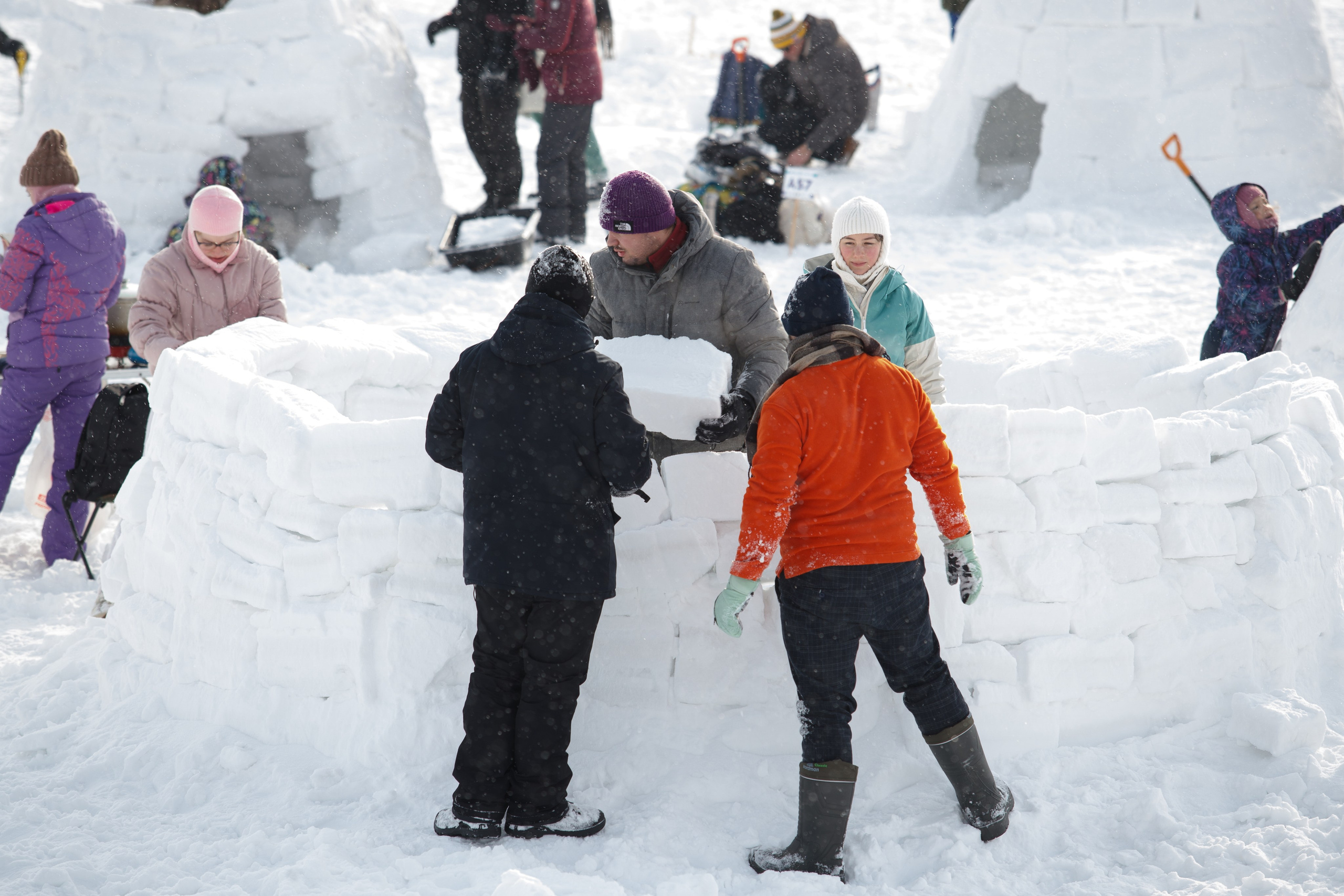 Фестиваль Иглу