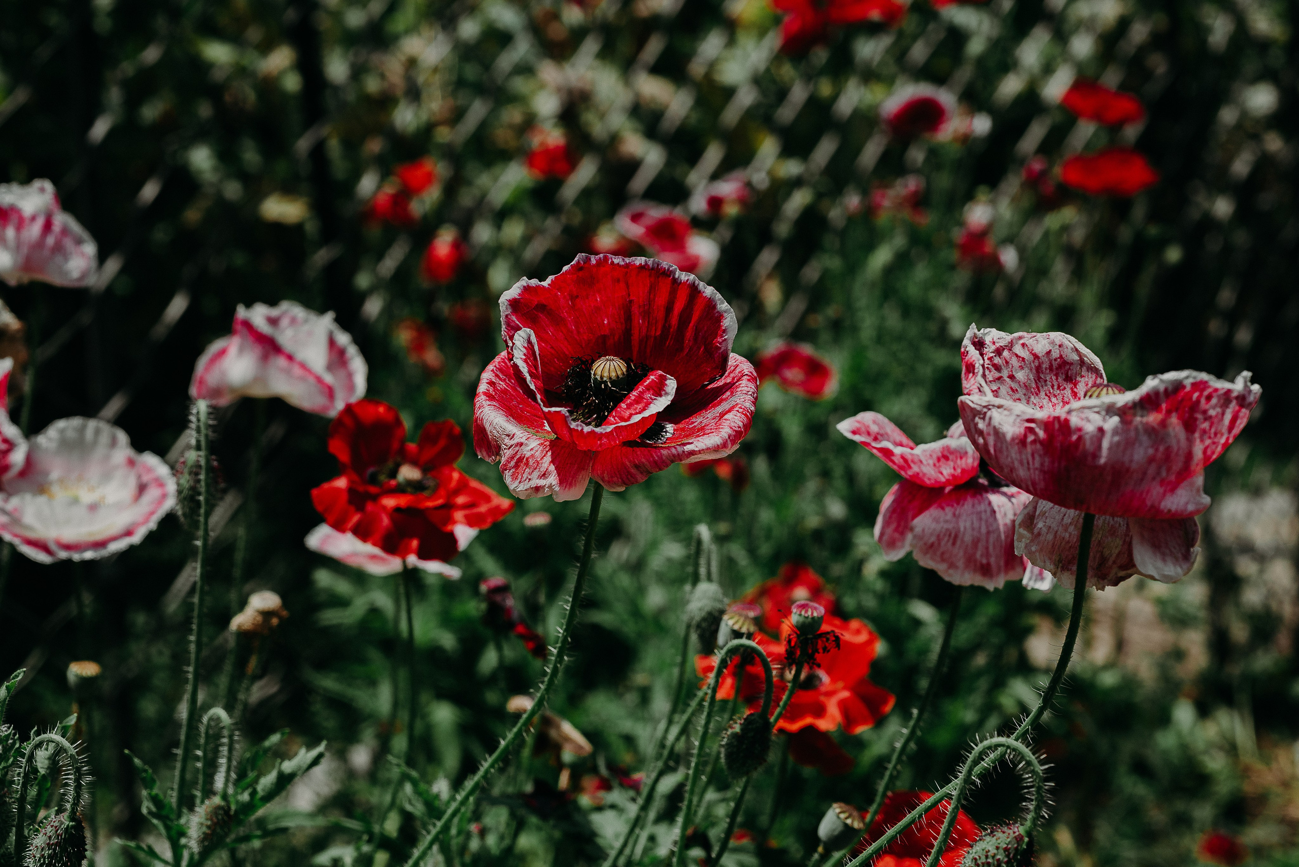 Рекламный фотограф из Гуанчжоу: путешествие по Уханю через объектив камеры. Коммерческий и предметный фотограф в Гуанчжоу Коваленко Александр