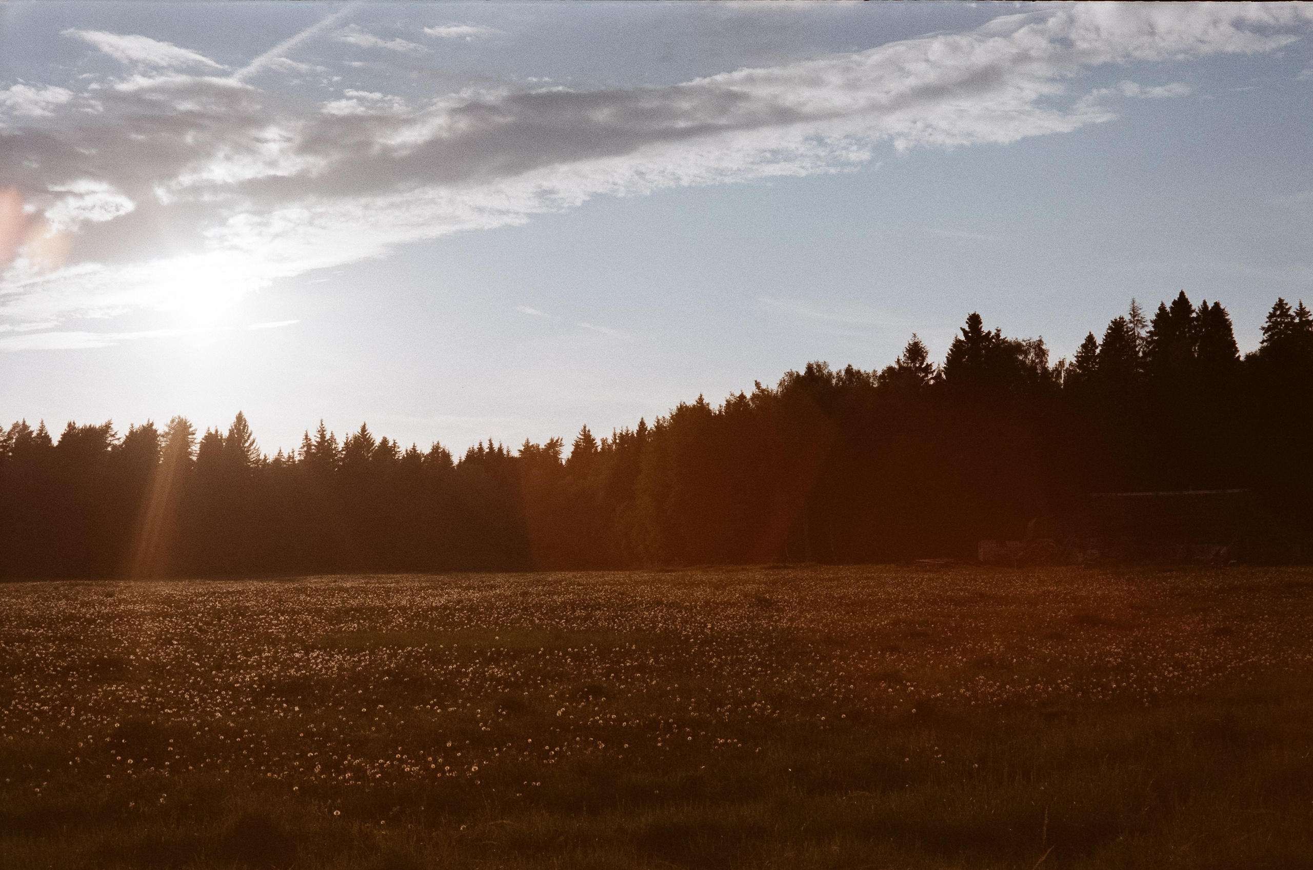 Konica IIIA / Fujicolor Superia 200 (просрочка) / Благовещенский переу