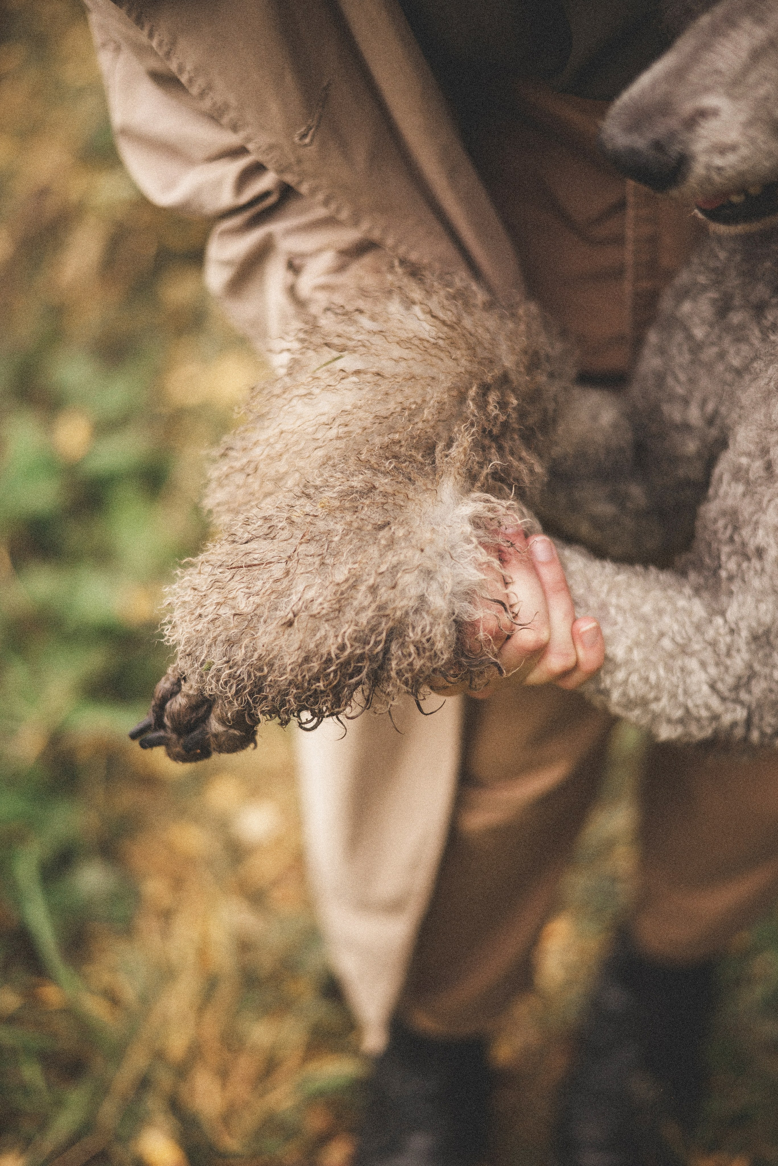 Алёна и Смоки. Фотограф-анималист Богданова Полина