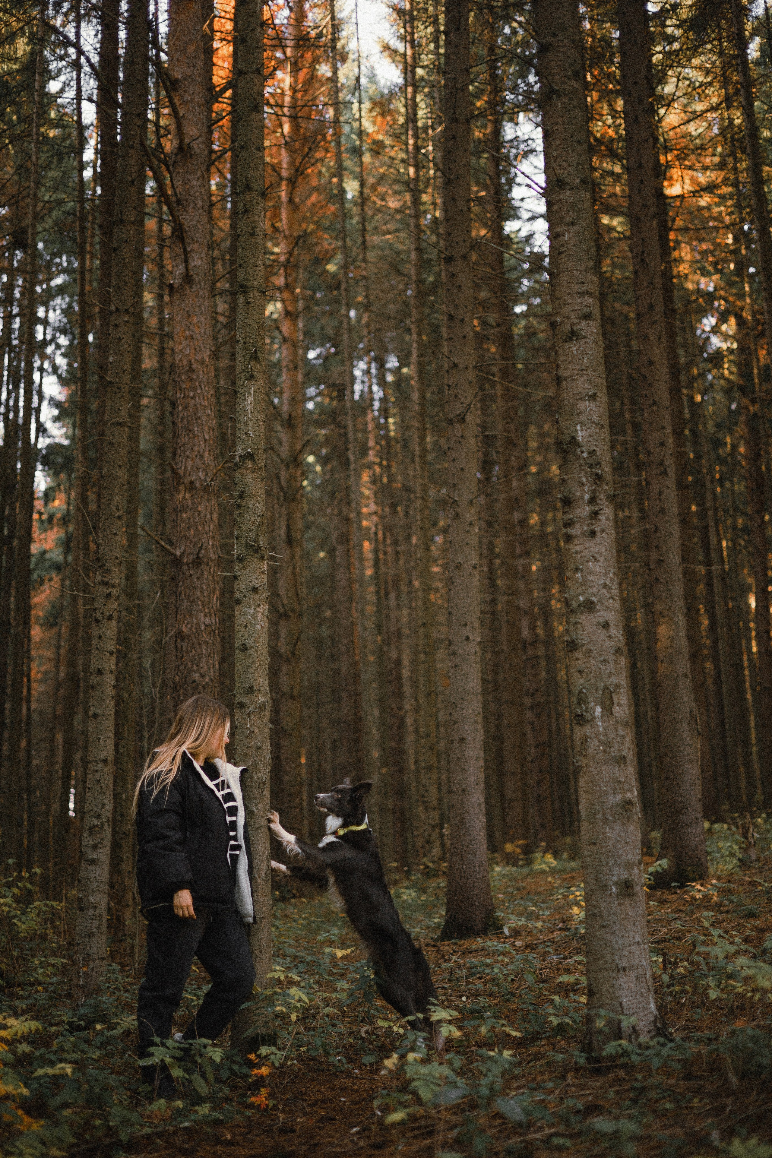 Даша и Дже. Фотограф-анималист Богданова Полина