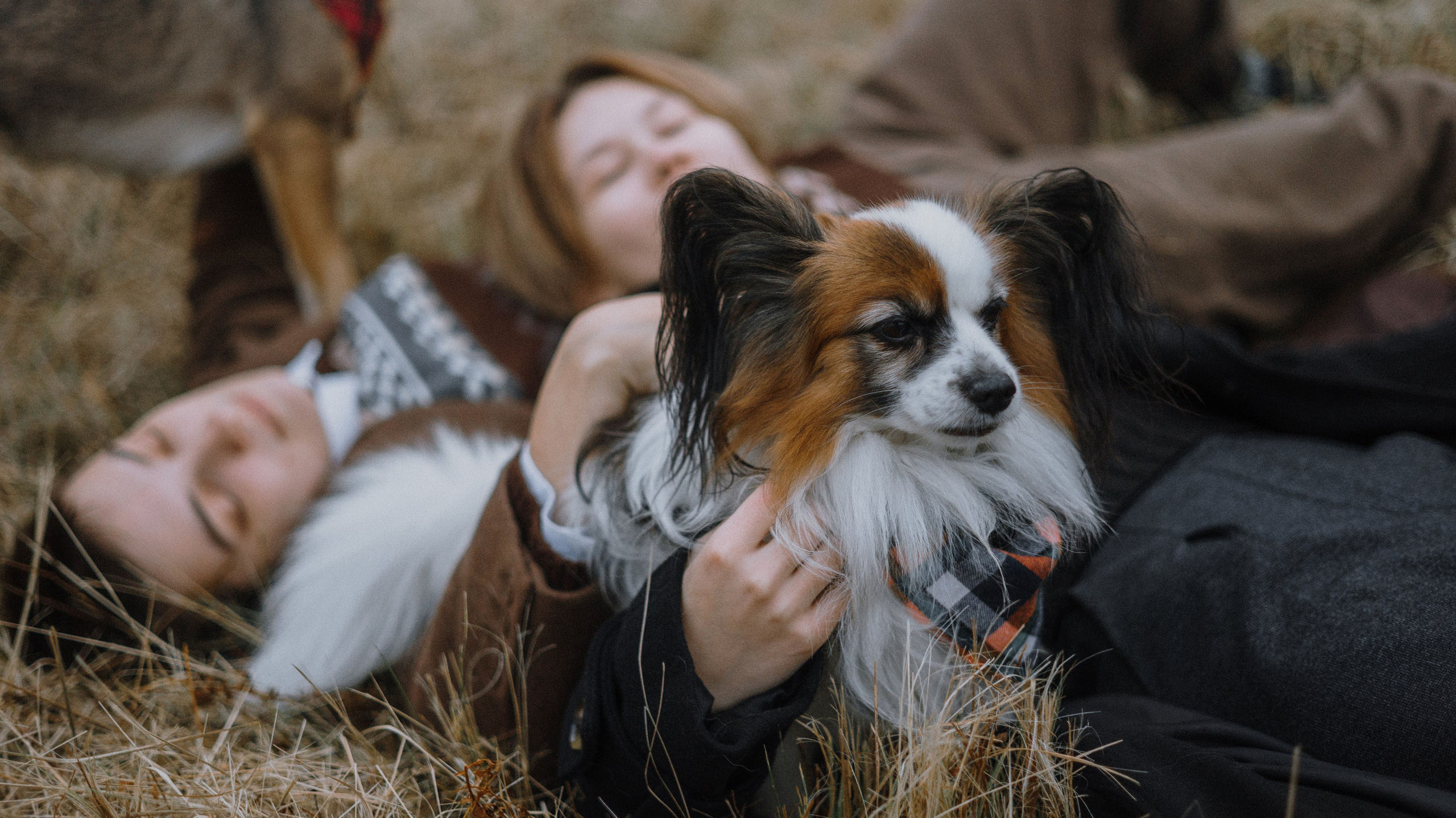 Маша, Катя, Астрид и Мася. Фотограф-анималист Богданова Полина