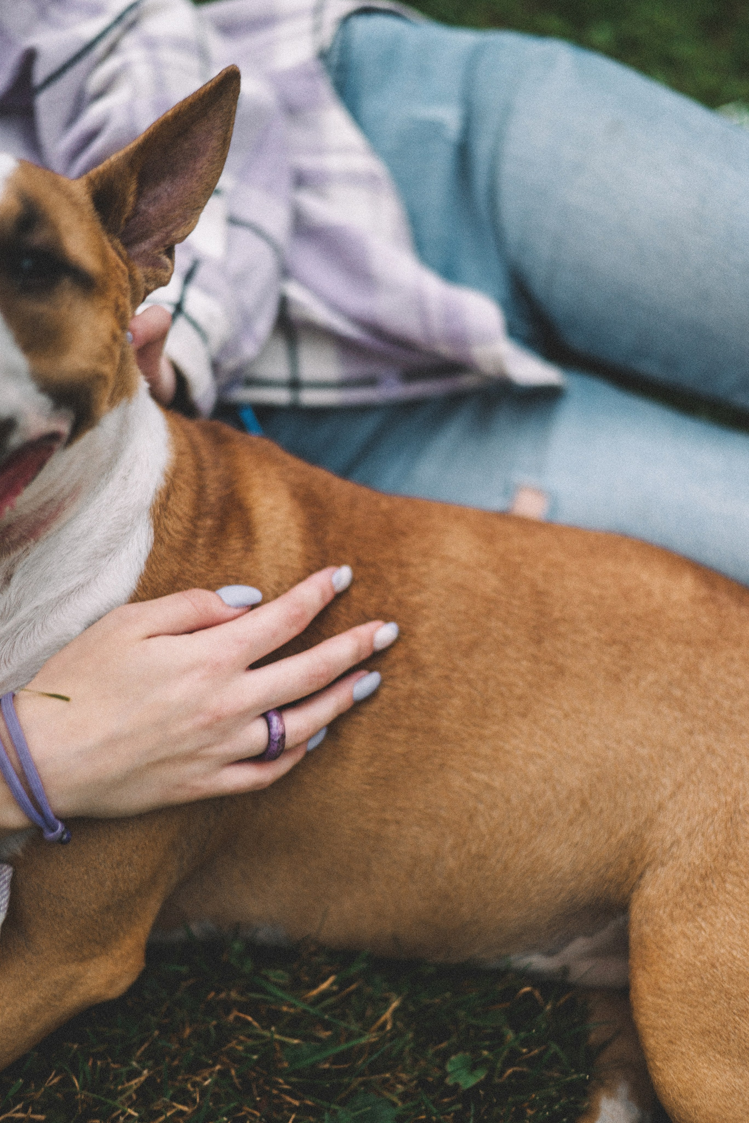 Маша и Рулька. Фотограф-анималист Богданова Полина