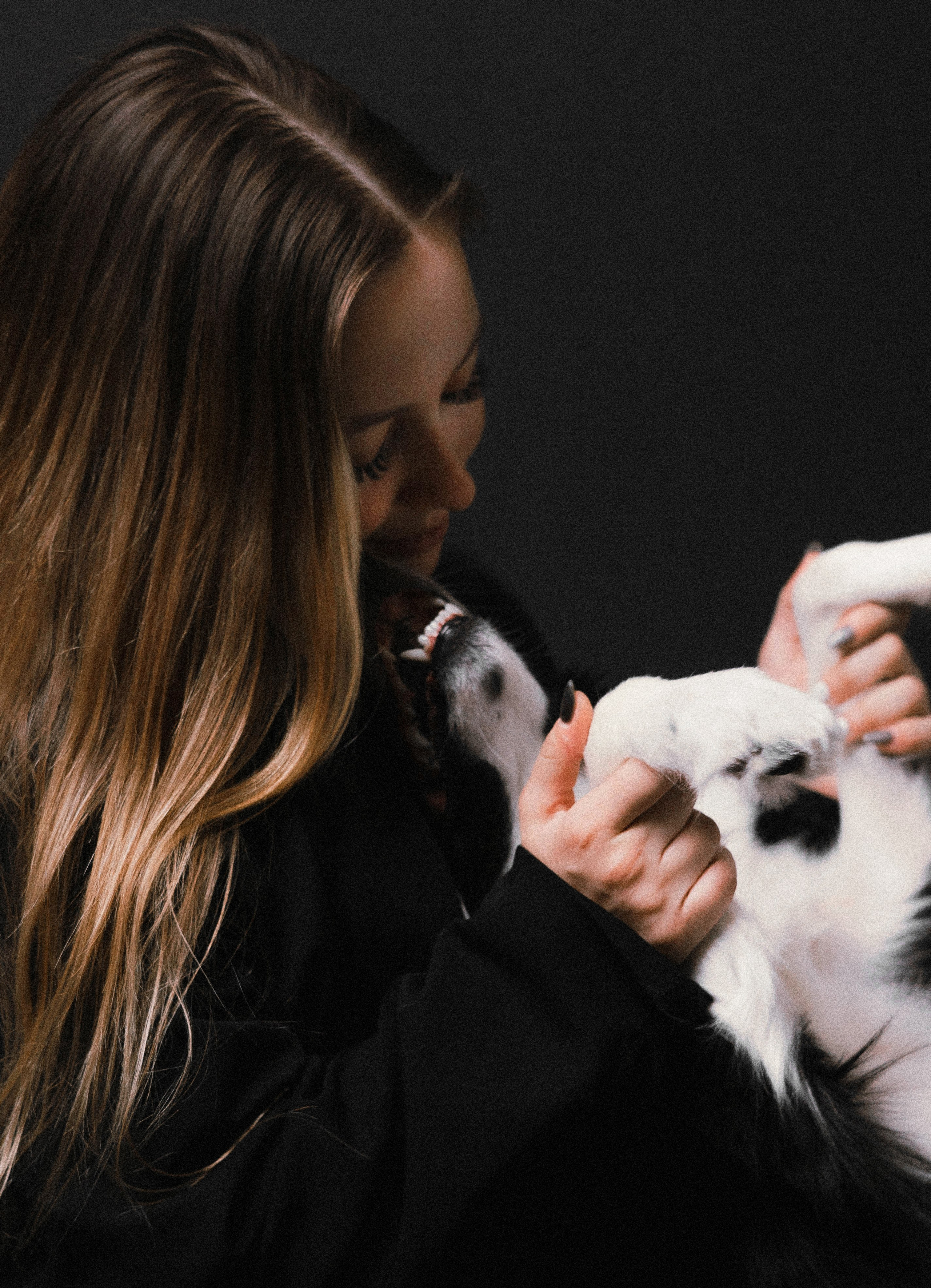 Даша, Дже и Рива. Фотограф-анималист Богданова Полина