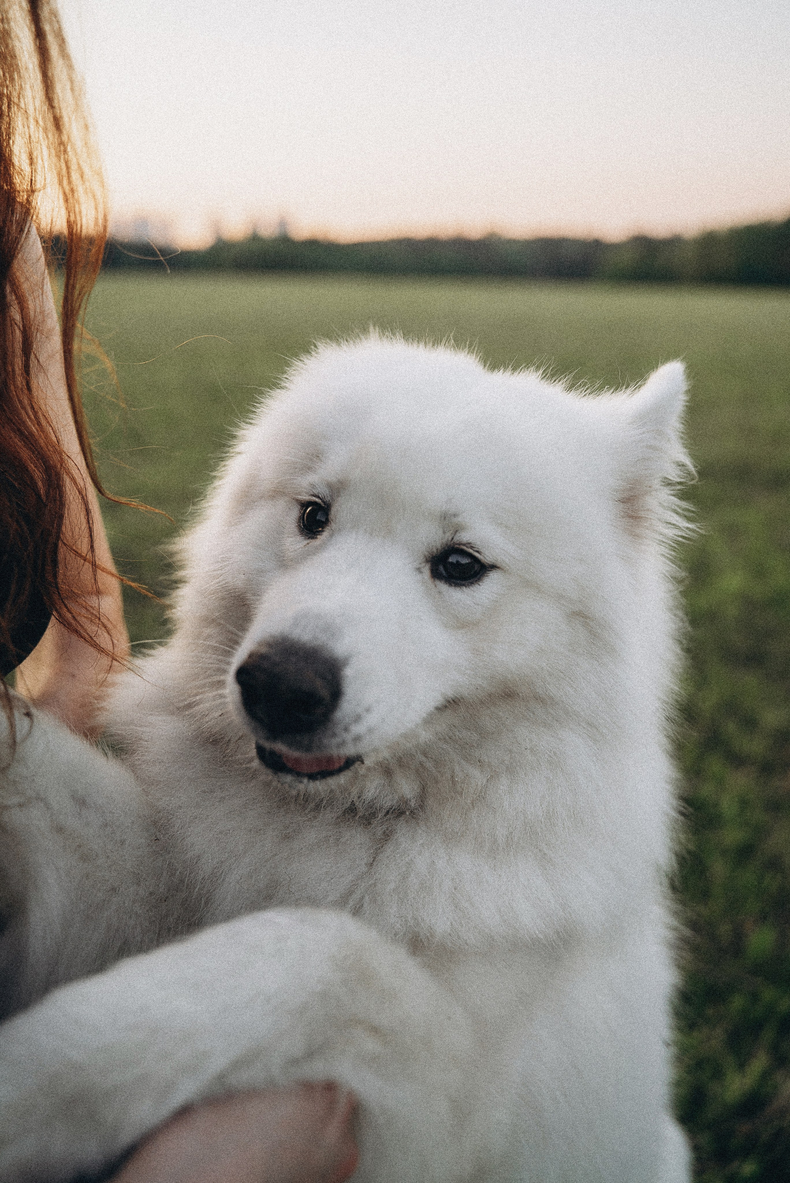 Алёна и Челси. Фотограф-анималист Богданова Полина