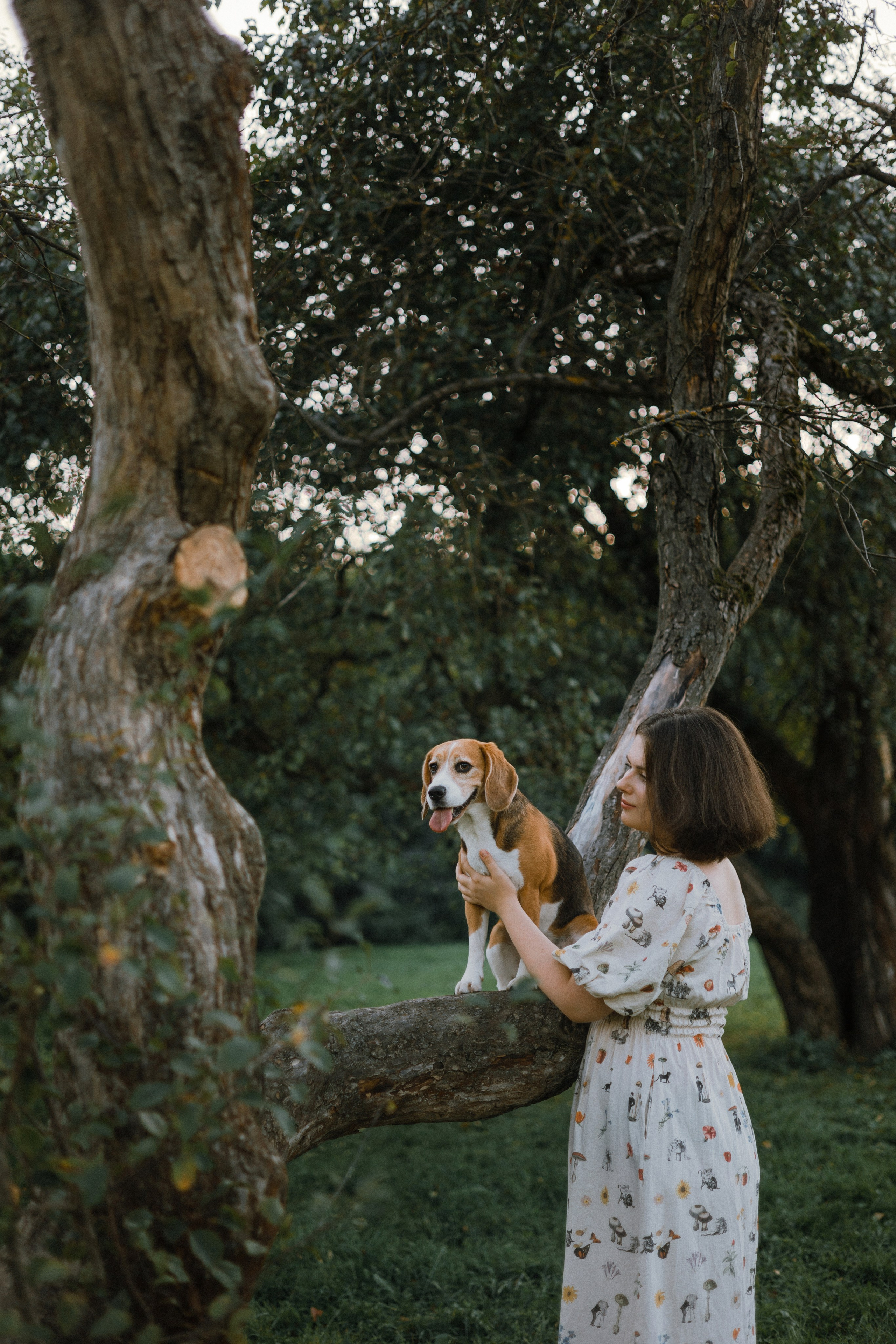 Лиза и Сара. Фотограф-анималист Богданова Полина