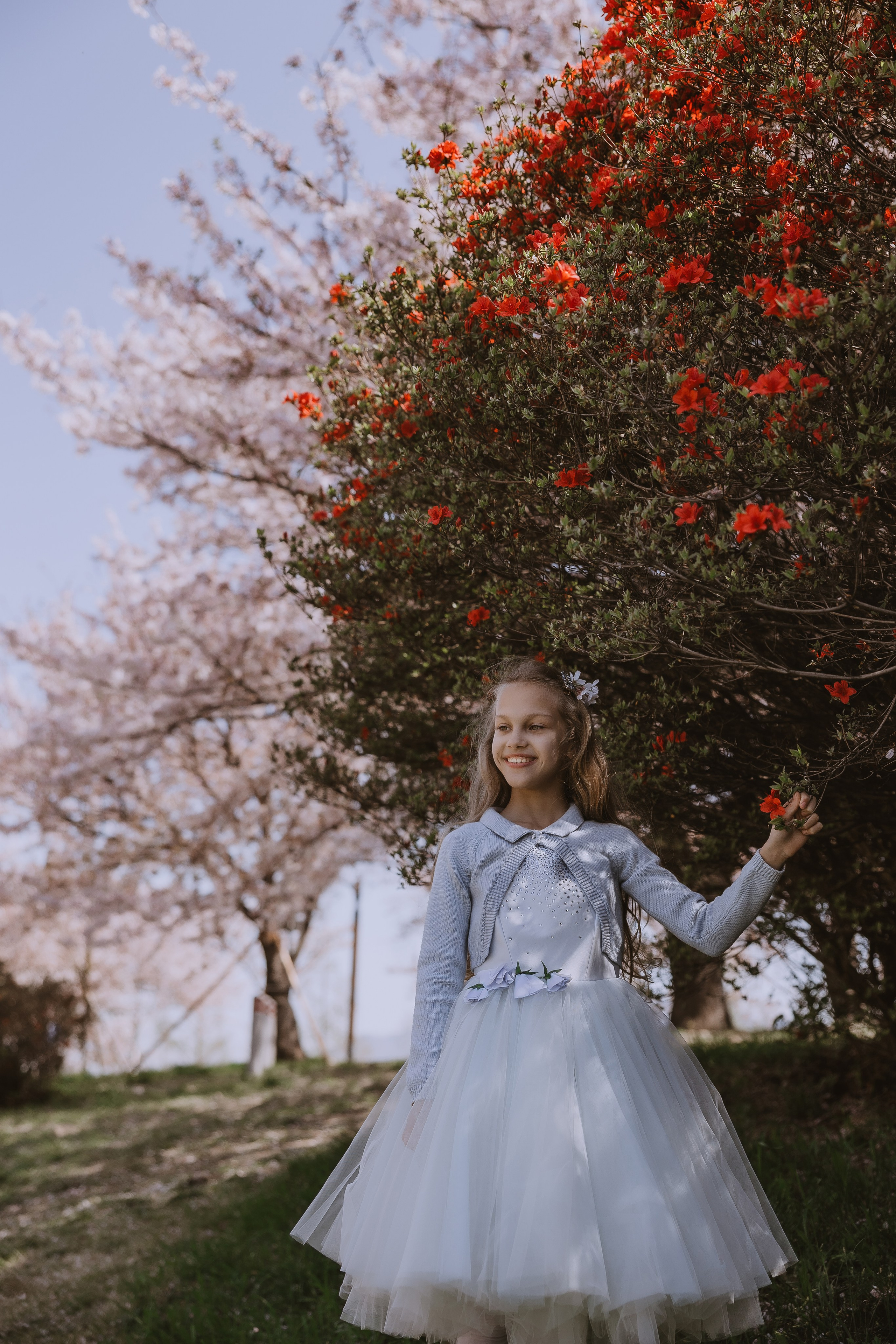 Beautiful girl at a photo shoot with sakura in Korea, Busan. Your photographer in Busan (South Korea) Aleksandra Anufriy